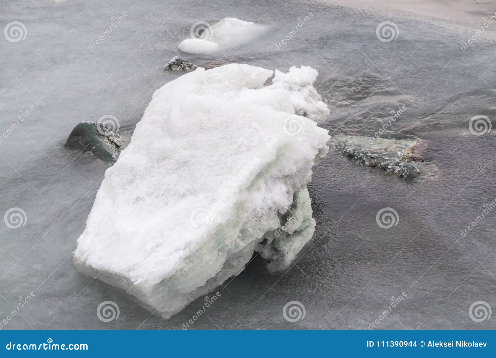 The Ice Floe Melts in Spring Water Stock Photo - Image of ecologic ...