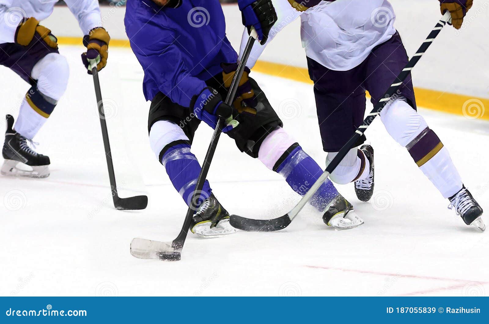 Ice Hockey Player Dribbling Puck on Rink Stock Image Image of adults