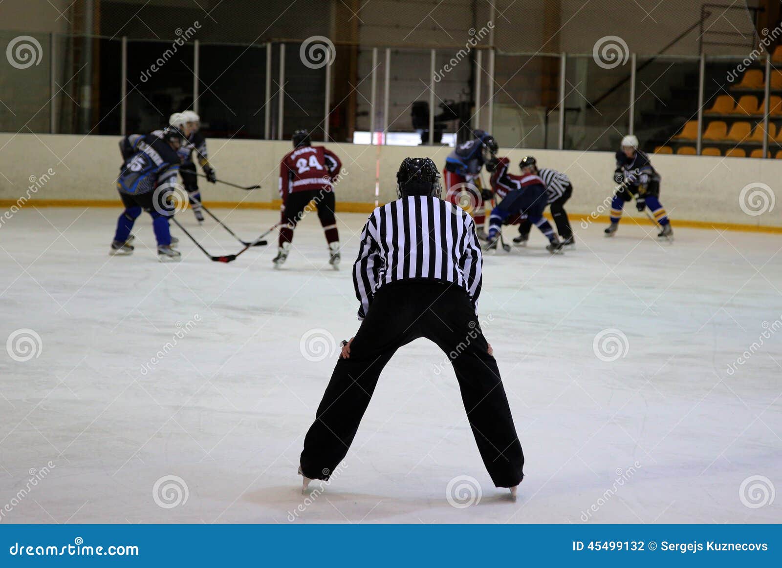 Hockey Referee Stock Photo - Download Image Now - Referee, Roller Hockey,  Authority - iStock