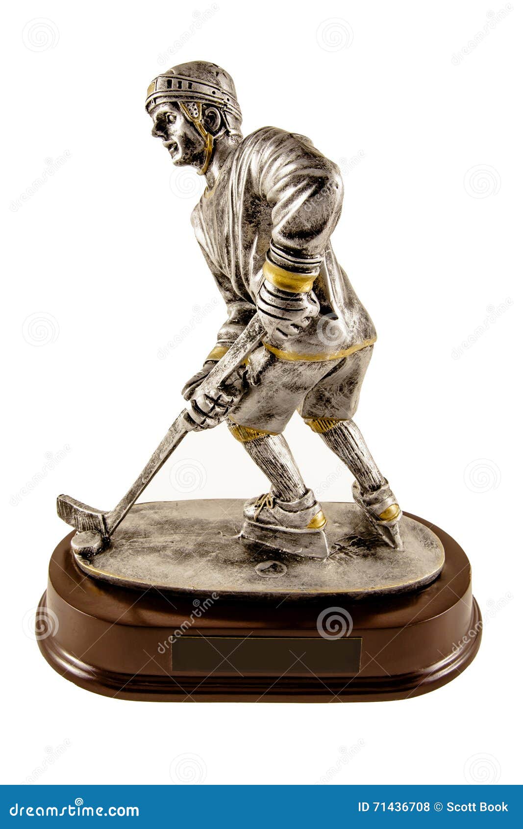 Ice Hockey Trophy stock photo. Image of player, black 71436708