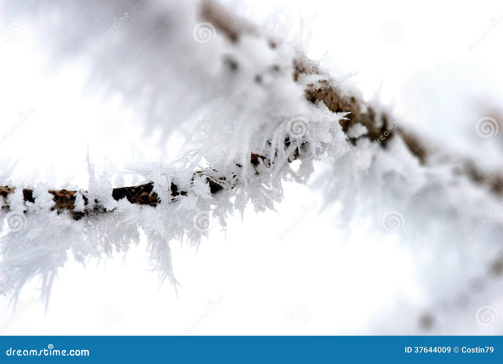 Ice needles stock image. Image of snow, freeze, abstract - 37644009