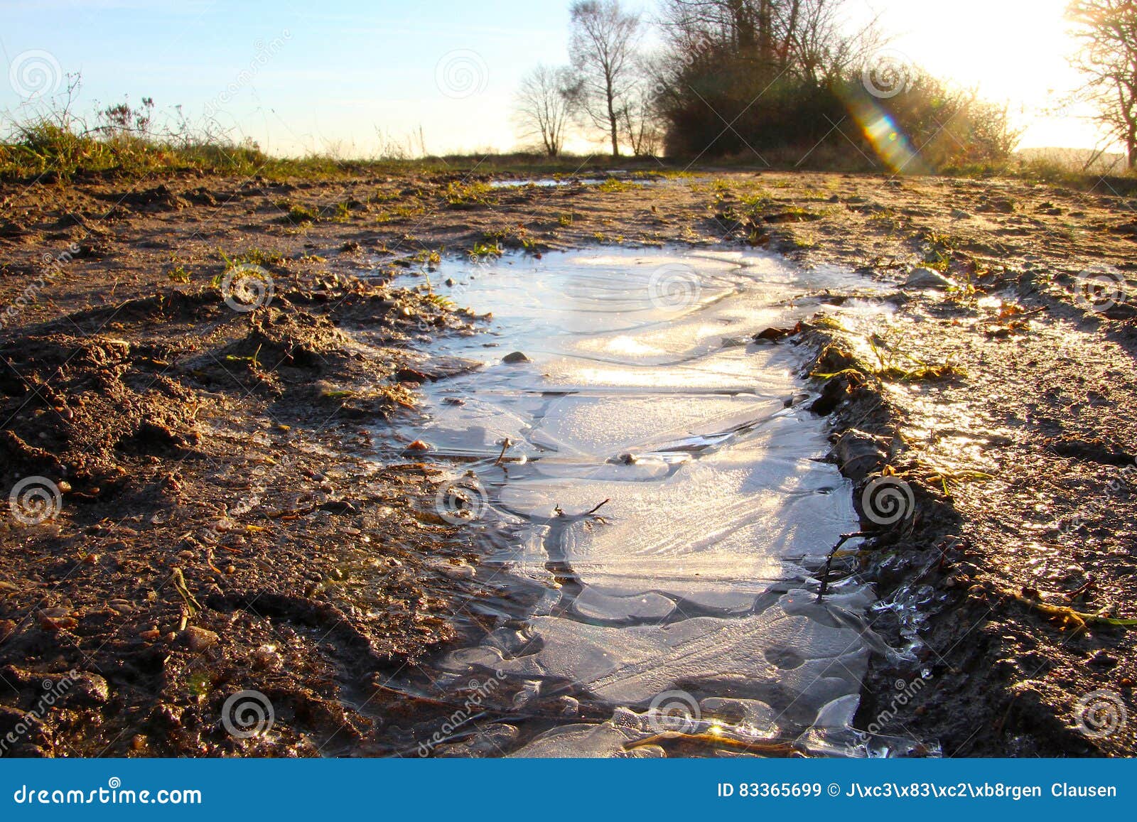 ice pattern in a puddle