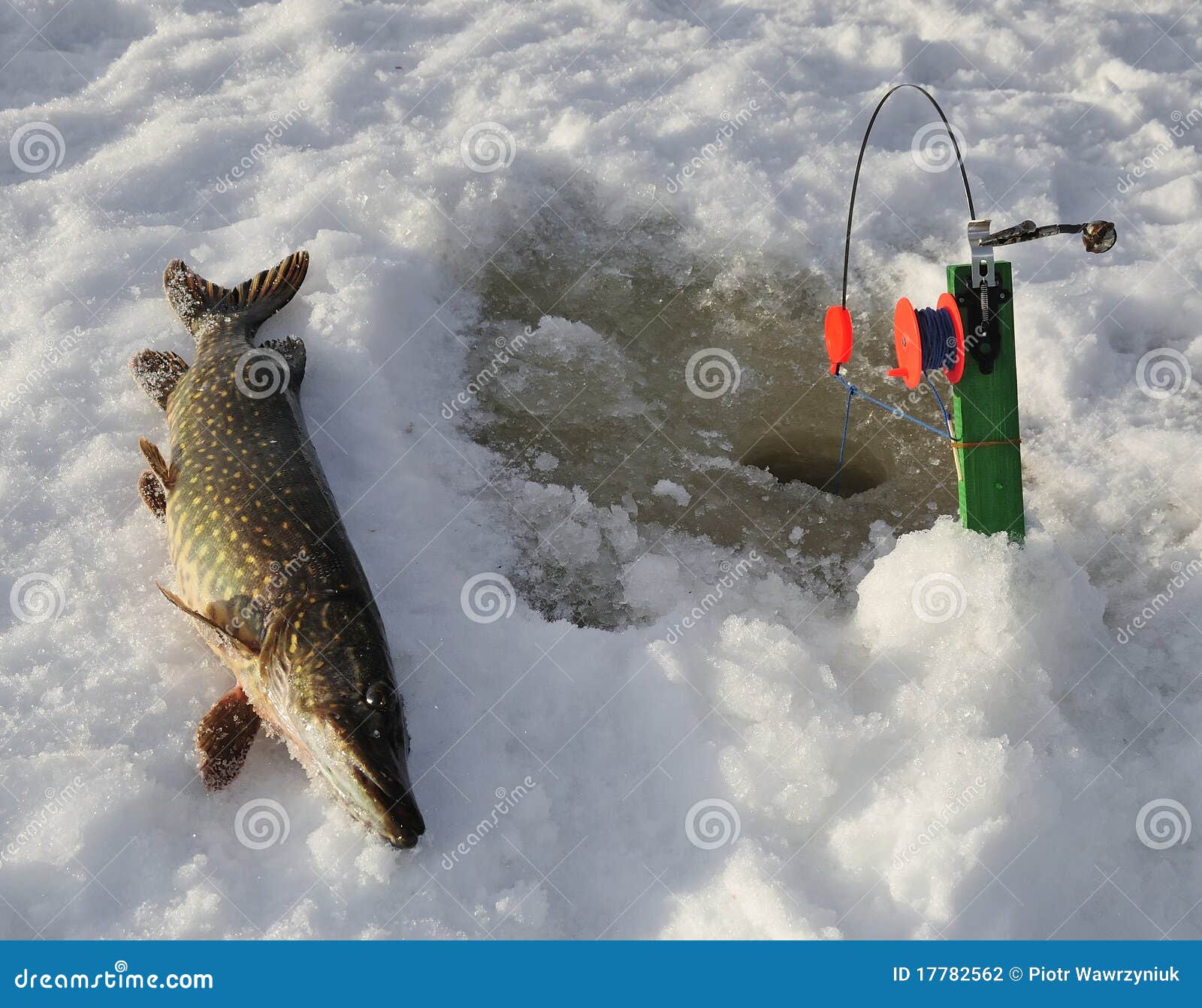 1,106 Ice Fishing Pike Stock Photos - Free & Royalty-Free Stock