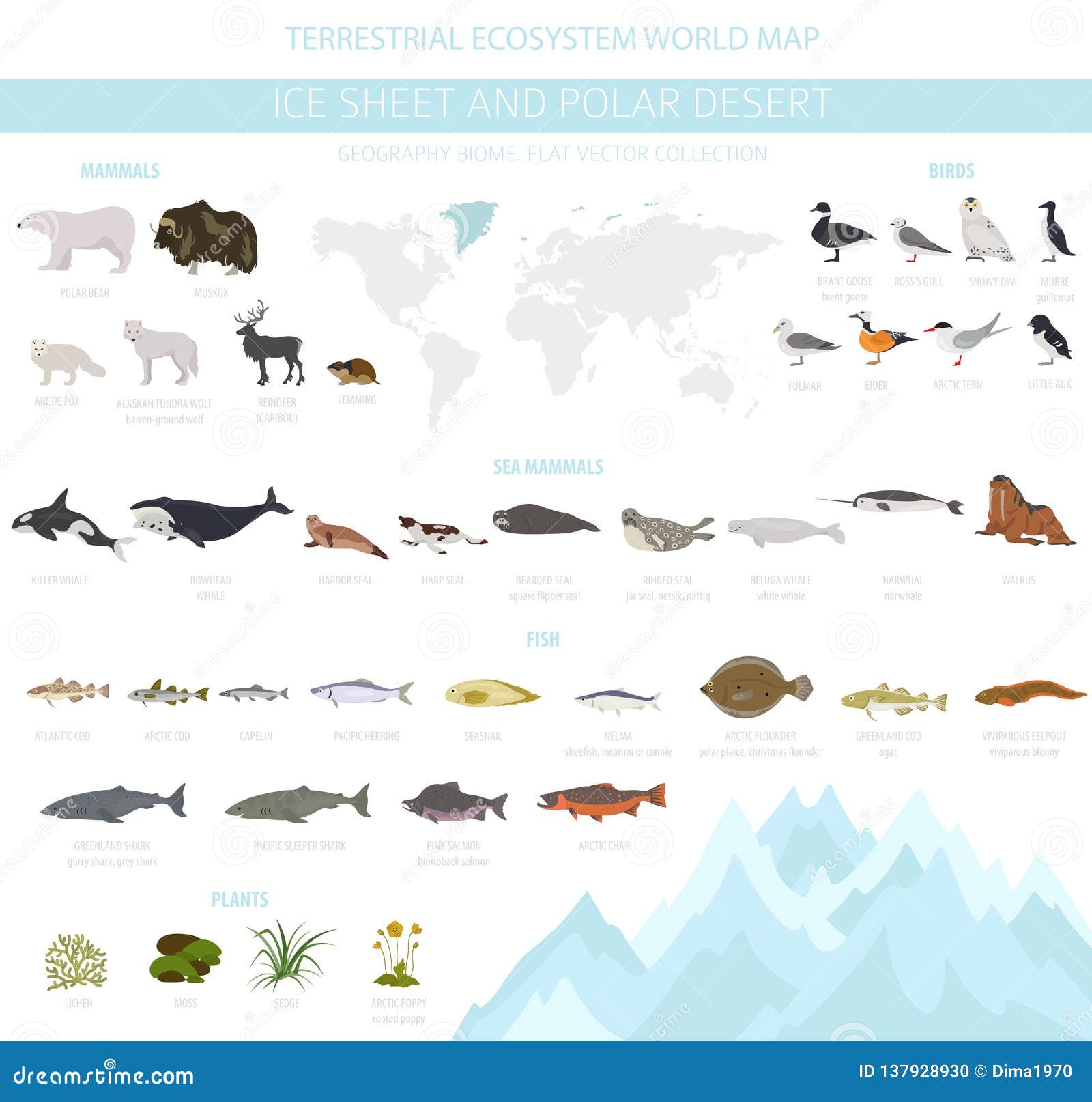 Ice Sheet and Polar Desert Biome. Terrestrial Ecosystem World Map Stock  Vector - Illustration of bird, mammal: 137928930
