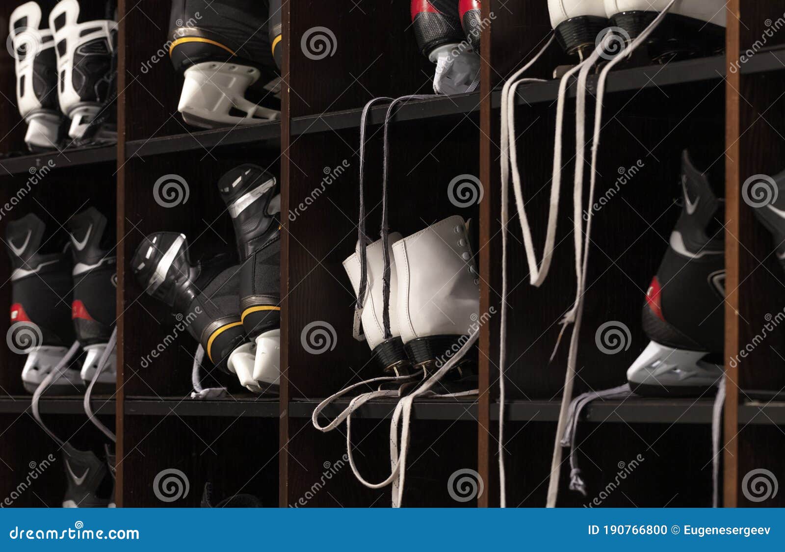 Ice Skates for Rent are on Shelves Stock Photo Image of modern