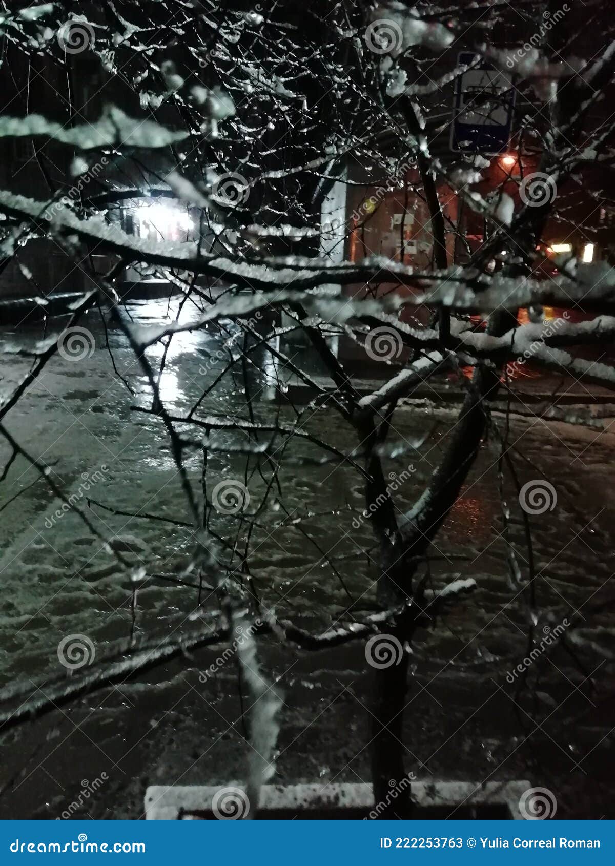 ice and water on the twigs of trees one winter night