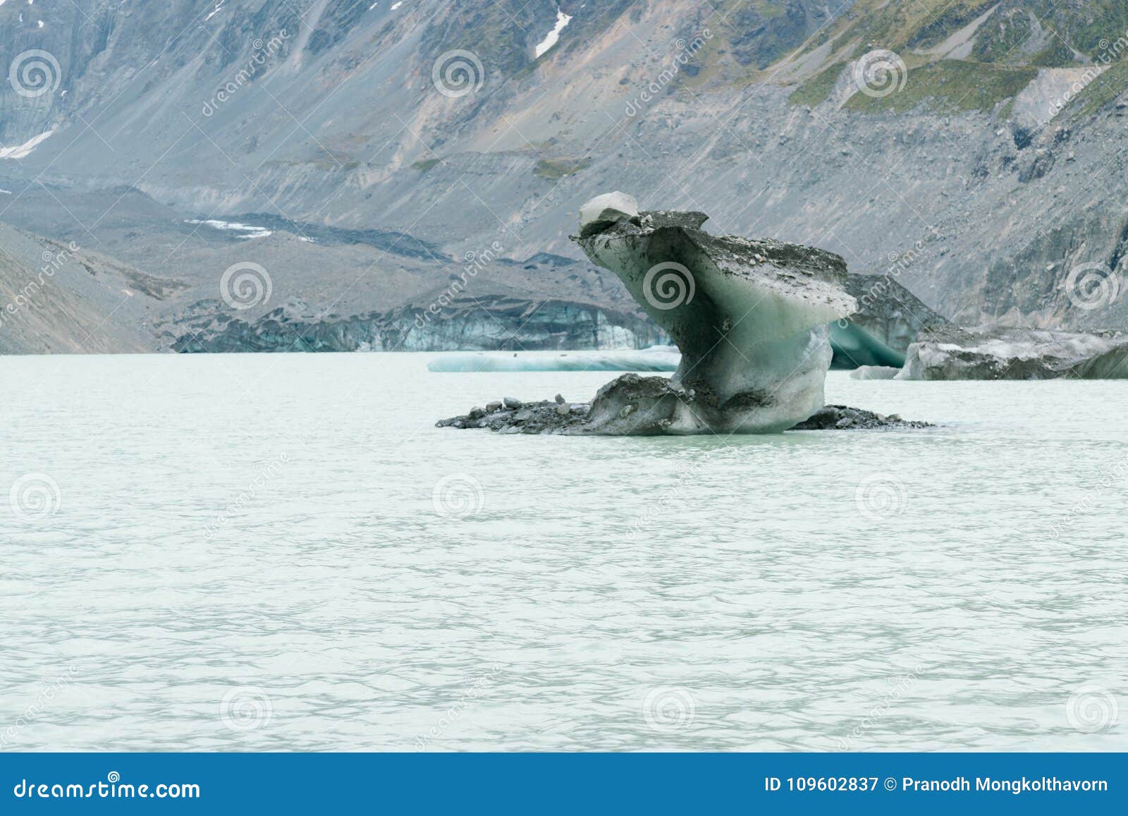 Ice iceberg fox hi-res stock photography and images - Alamy