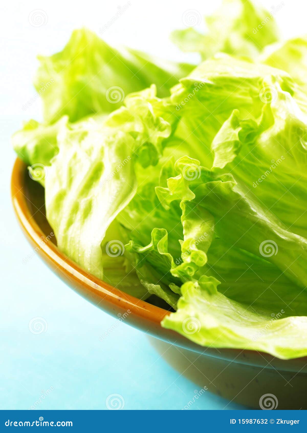Iceberg lettuce stock photo. Image of food, organic, iceberg 15987632