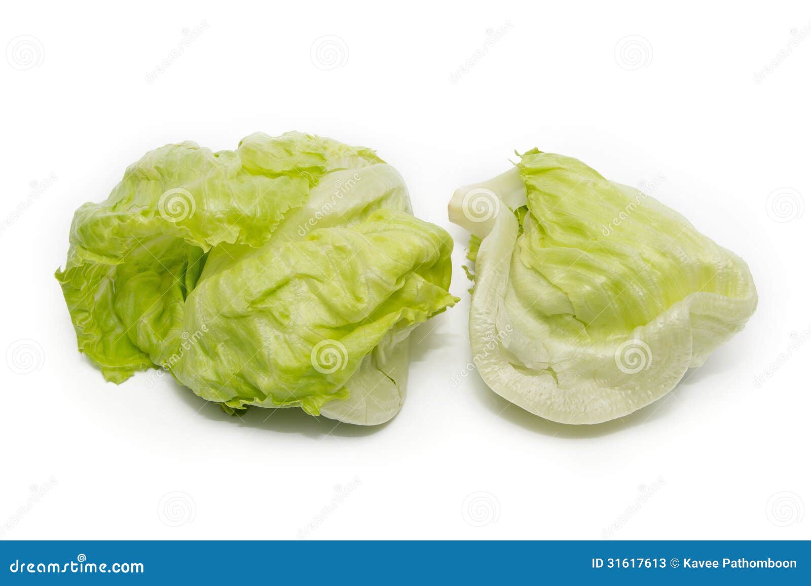 Iceberg Lettuce stock image. Image of eating, fiber, leaves 31617613