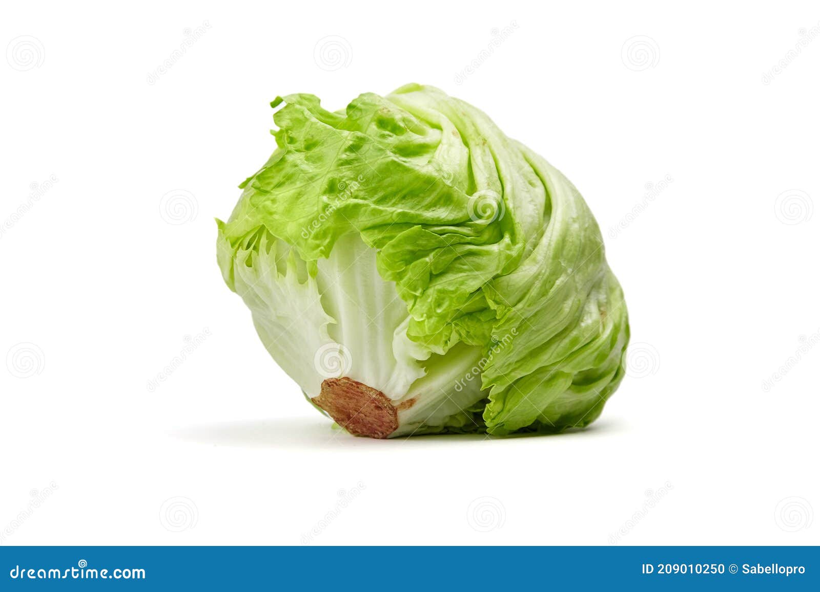 Iceberg Lettuce Leafy Green Vegetable Isolated on White Stock Photo