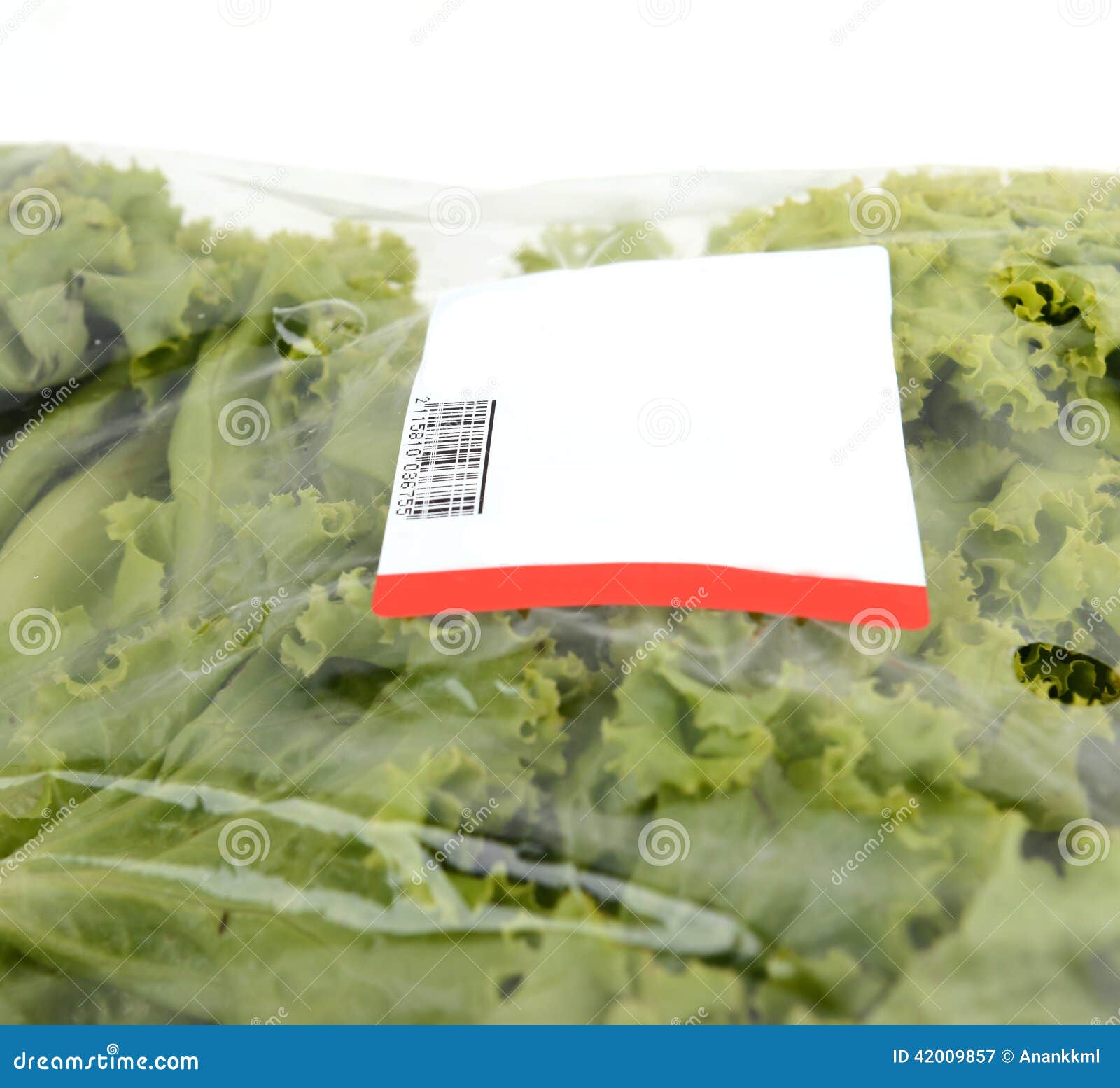 Iceberg Lettuce in Plastic Bag Package Stock Image Image of