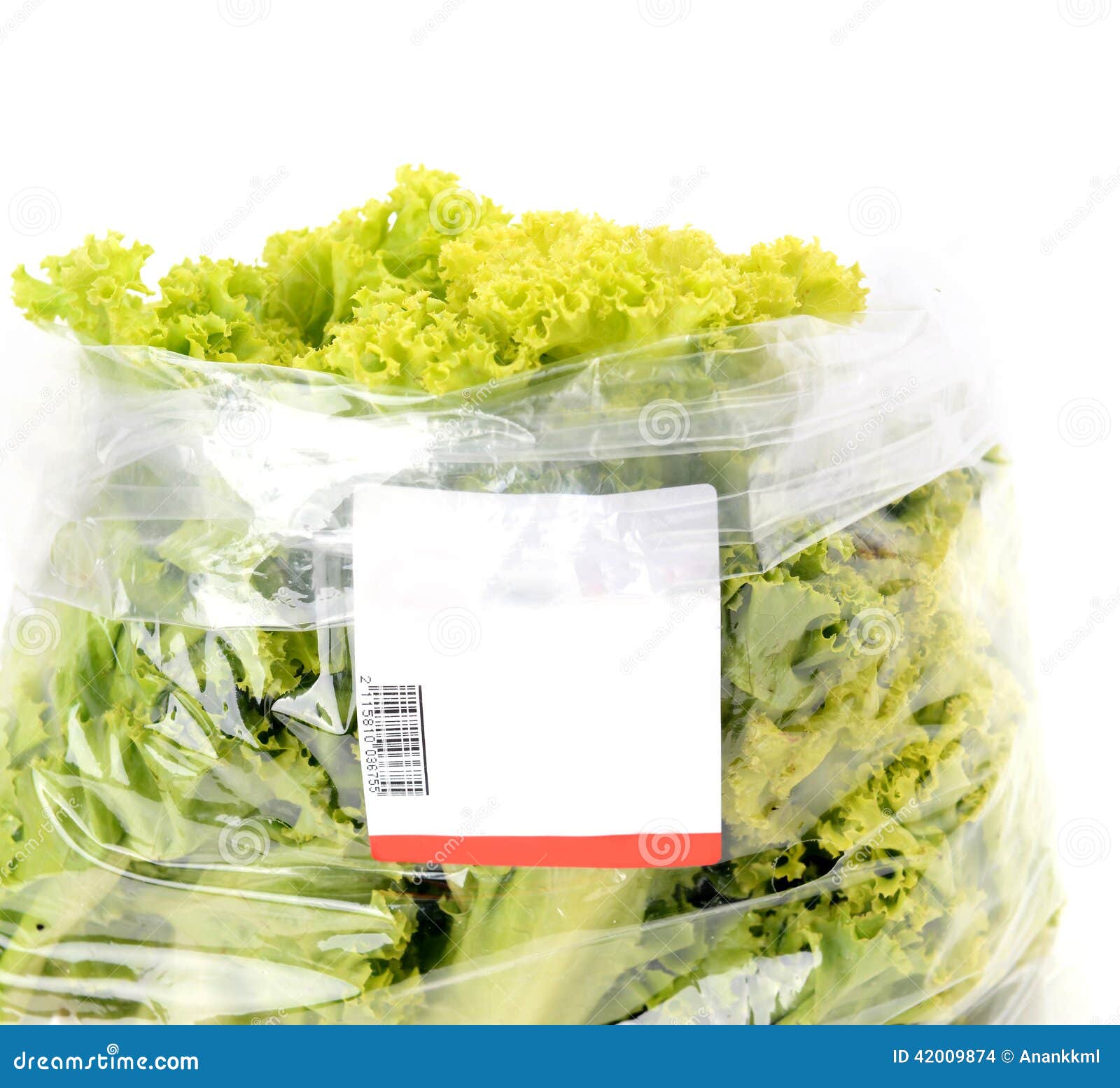 Iceberg Lettuce in Plastic Bag Package Stock Photo Image of dieting