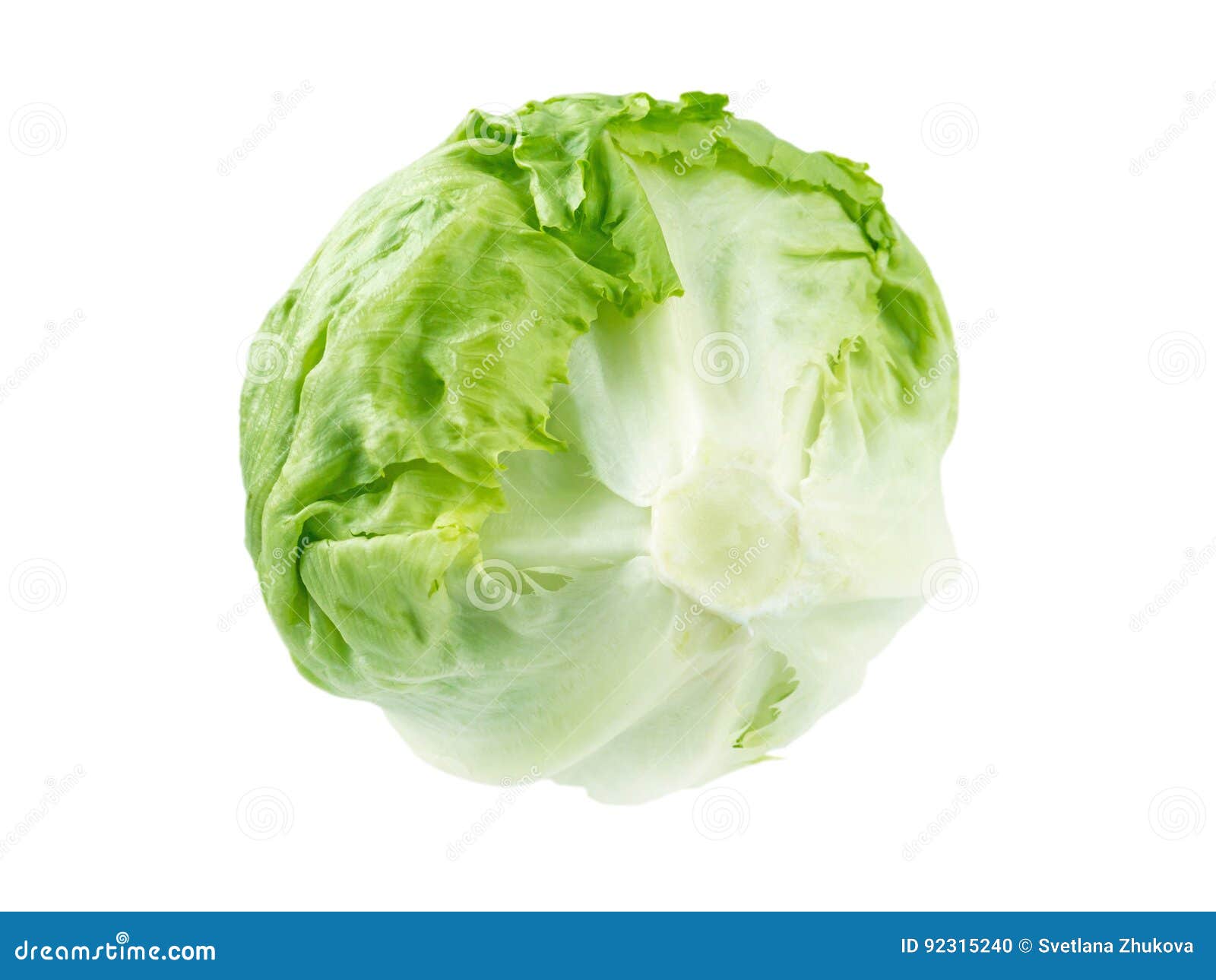 Iceberg lettuce salad head stock photo. Image of vegetable 92315240