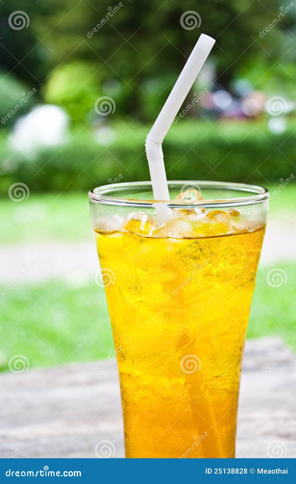 Iced Chrysanthemum Tea (flower Tea) Stock Photo Image of morning