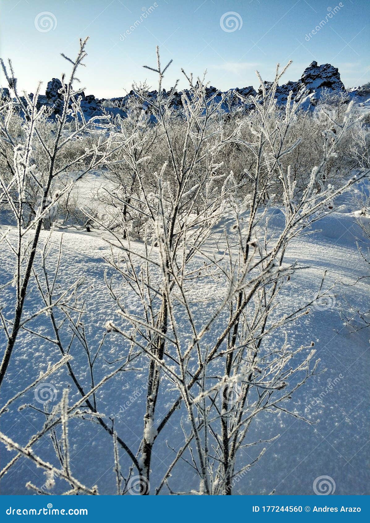 paisajes de invierno