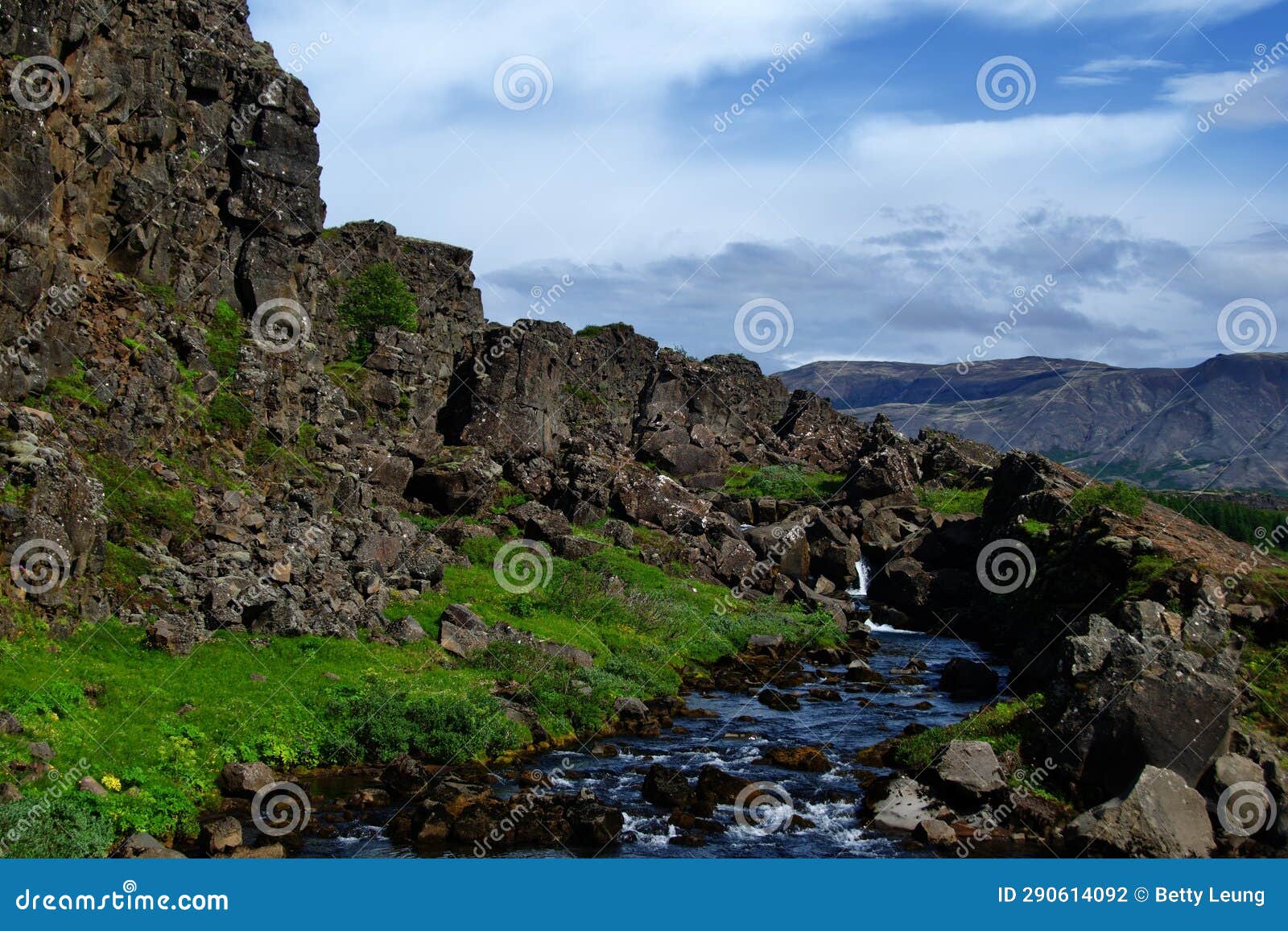 Platonic Plates Stock Photos Free & RoyaltyFree Stock Photos from