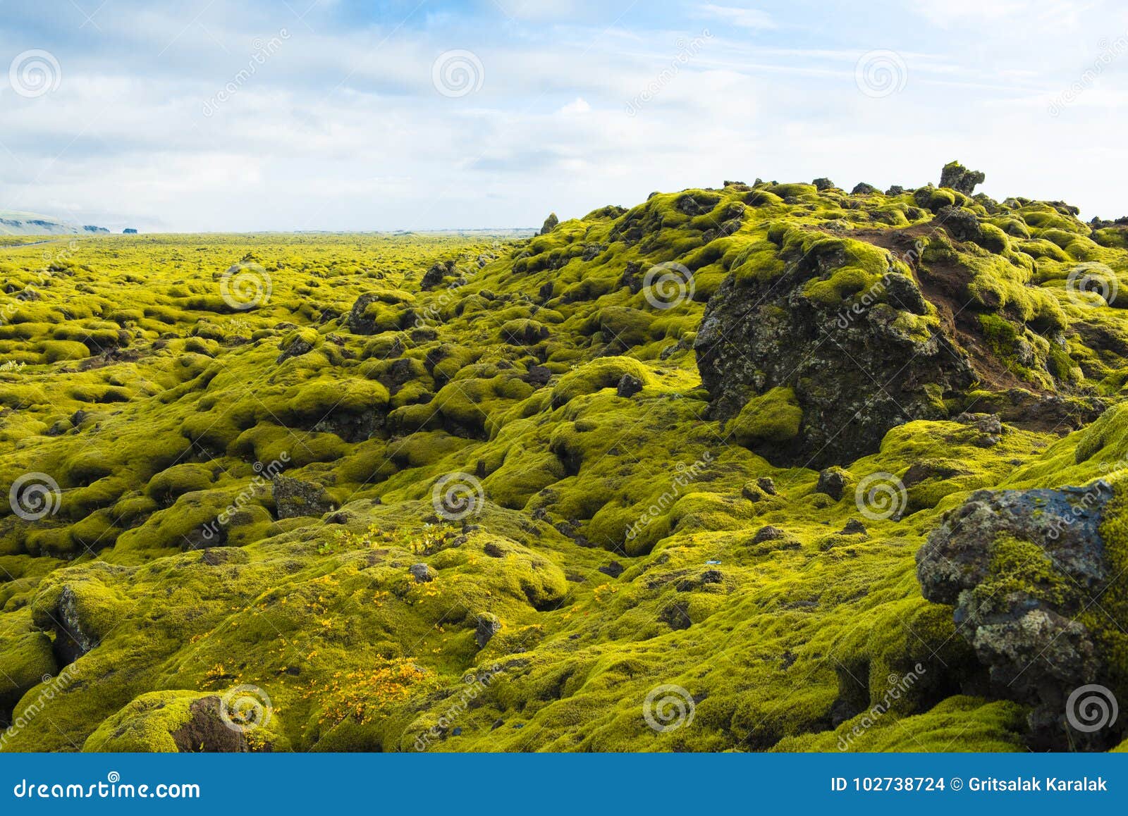 Icelandic Moss And Volcanic Rocks Iceland Stock Photo Image Of