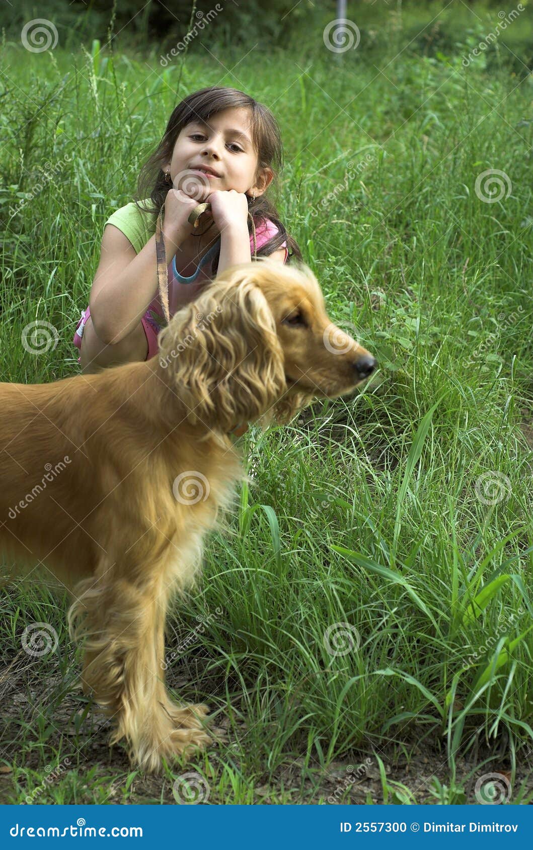 Ich liebe meinen Hund stockfoto. Bild von kinder, augen 2557300
