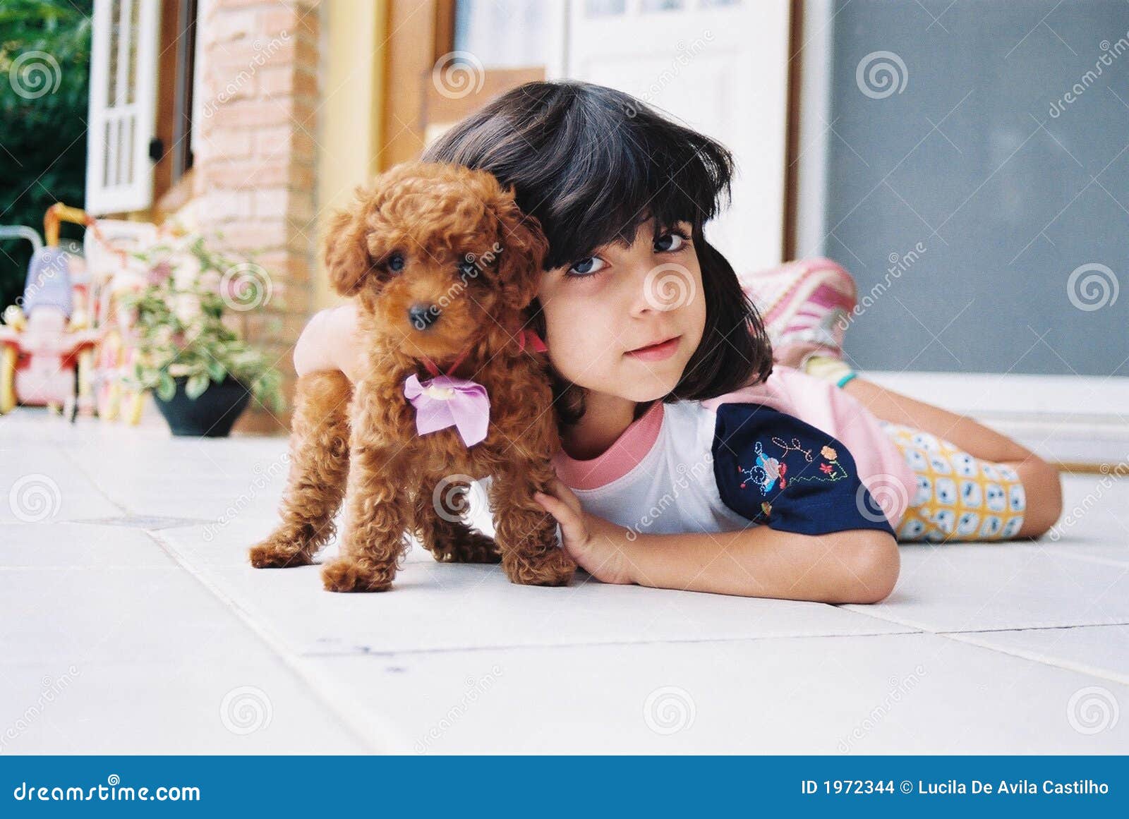 Ich Liebe Meinen Kleinen Hund Stockfoto Bild von froh, hund 1972344