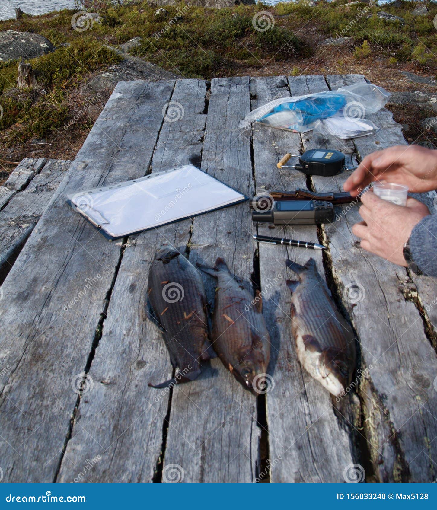 ichthyological field studies