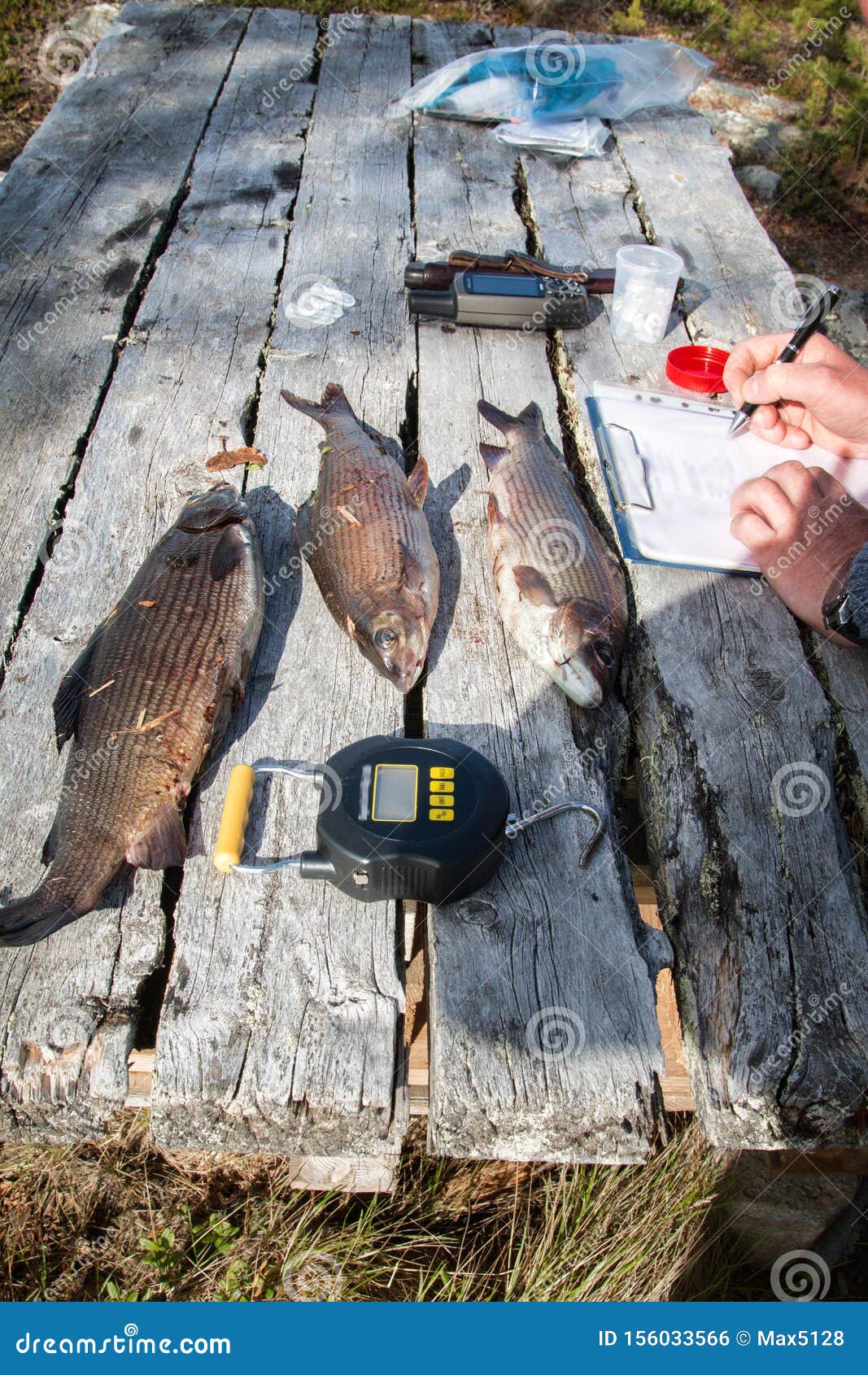 ichthyological field studies
