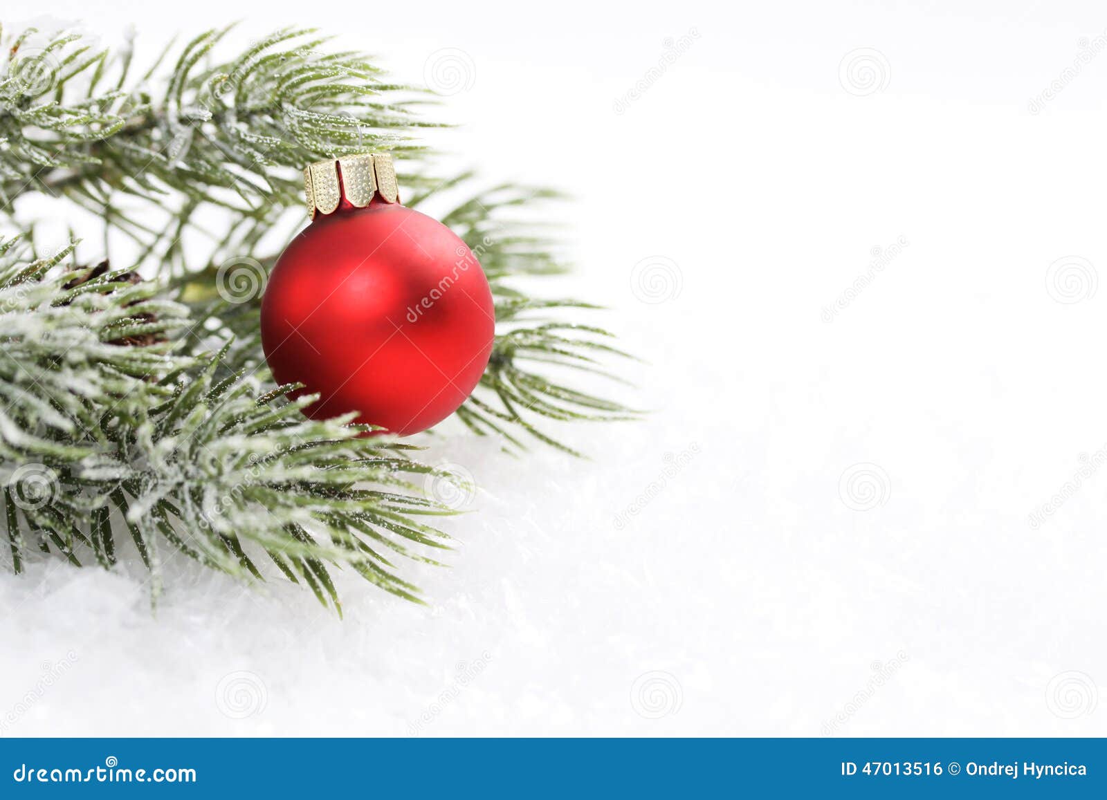 icing pine branch with cone and red matt christmas ball on snow