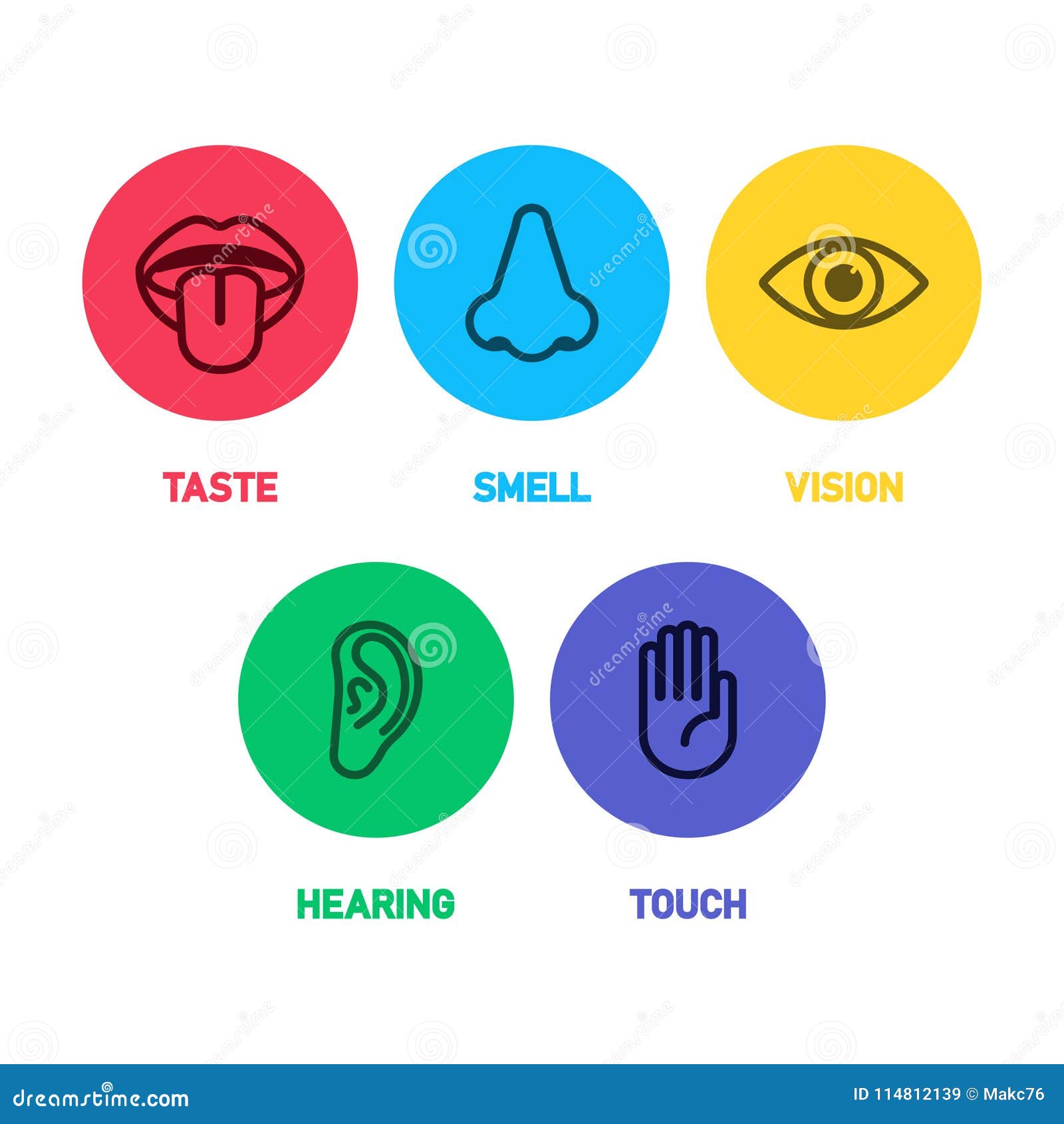 Icon Set of Five Human Senses Stock Vector - Illustration of nose ...