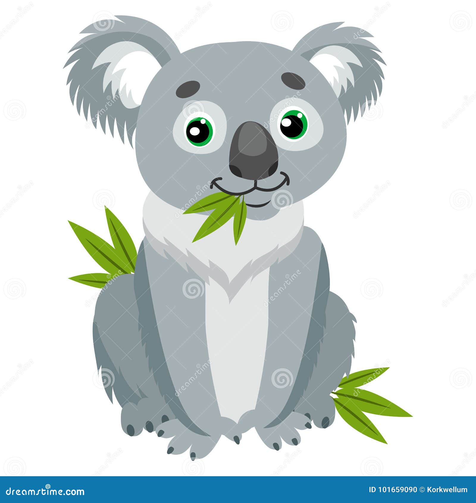 iconic marsupials. koala bear on green leaves. australian animal funniest herbivore sitting on eucalyptus.