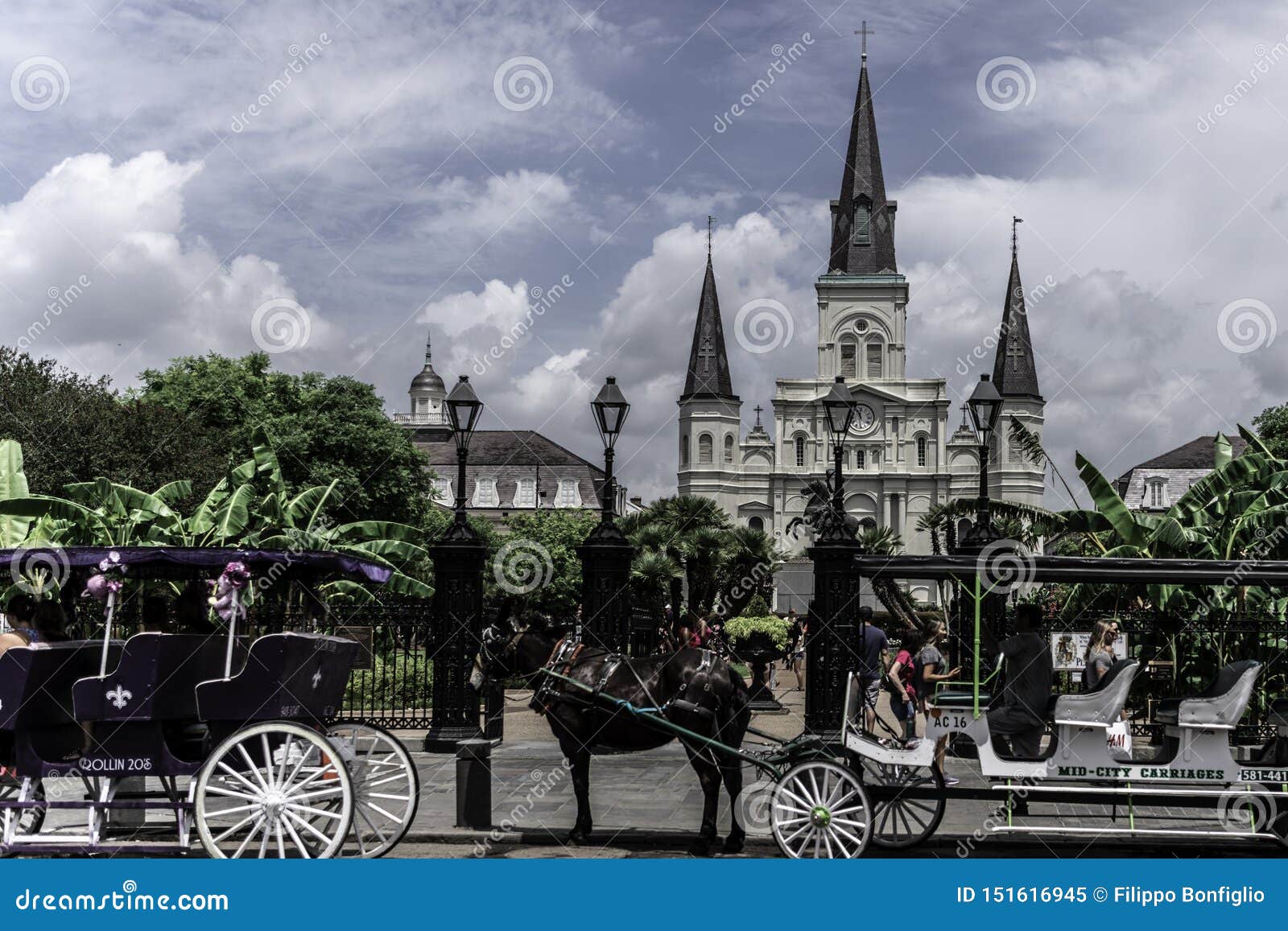 St Louis Cathedral New Orleans French Quarter, Decatur Street Editorial Image - Image of louinew ...
