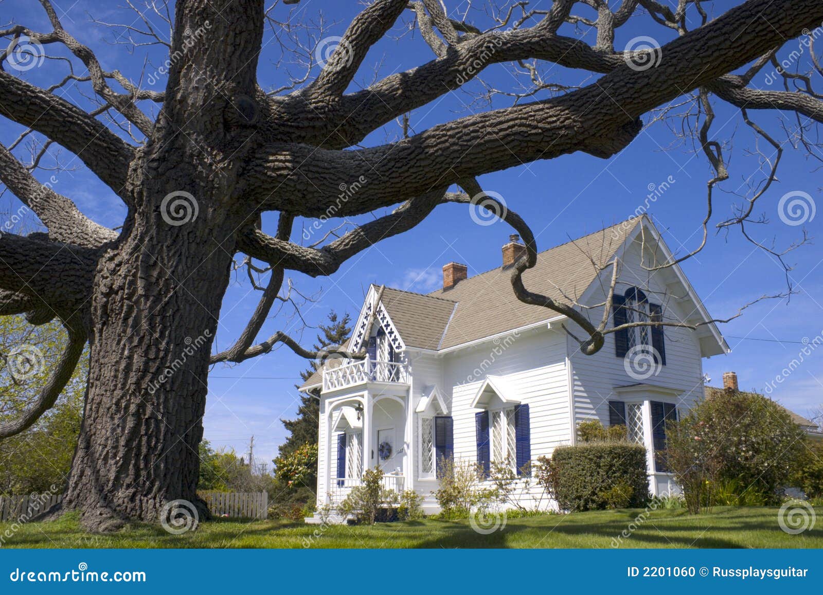 Iconic White House and Tree Stock Photo Image of white, single 2201060