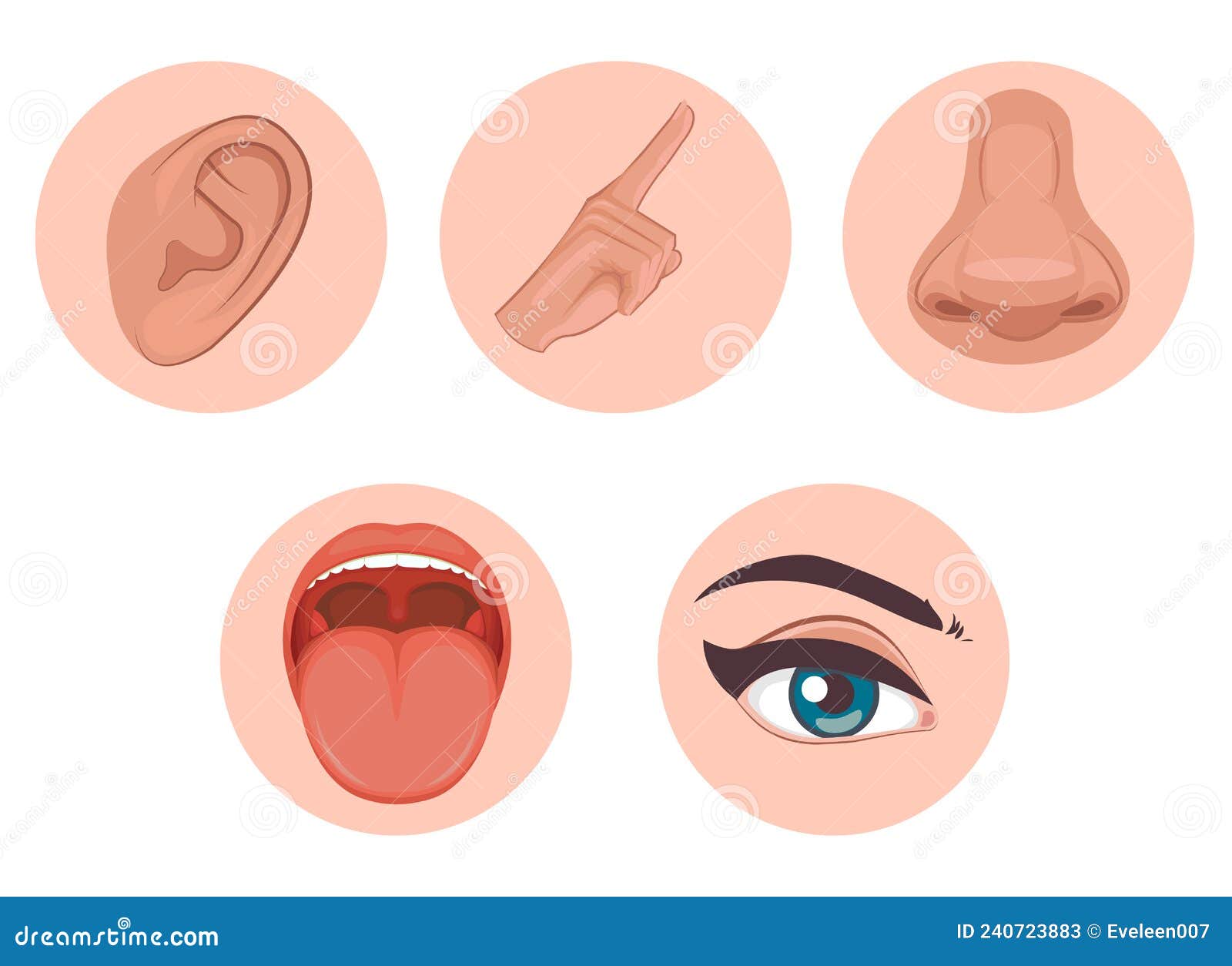 Icono De Cinco Sentidos Diseño Plano Con Vista De Nombre Toque De Olfato  Ilustración del Vector - Ilustración de nariz, conjunto: 240723883