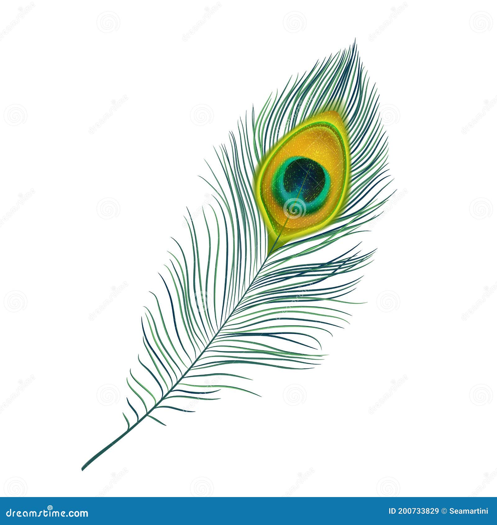 Icono De Vector Realista Aislado De Plumas De Pavo Real Ilustración del  Vector - Ilustración de macro, pluma: 200733829