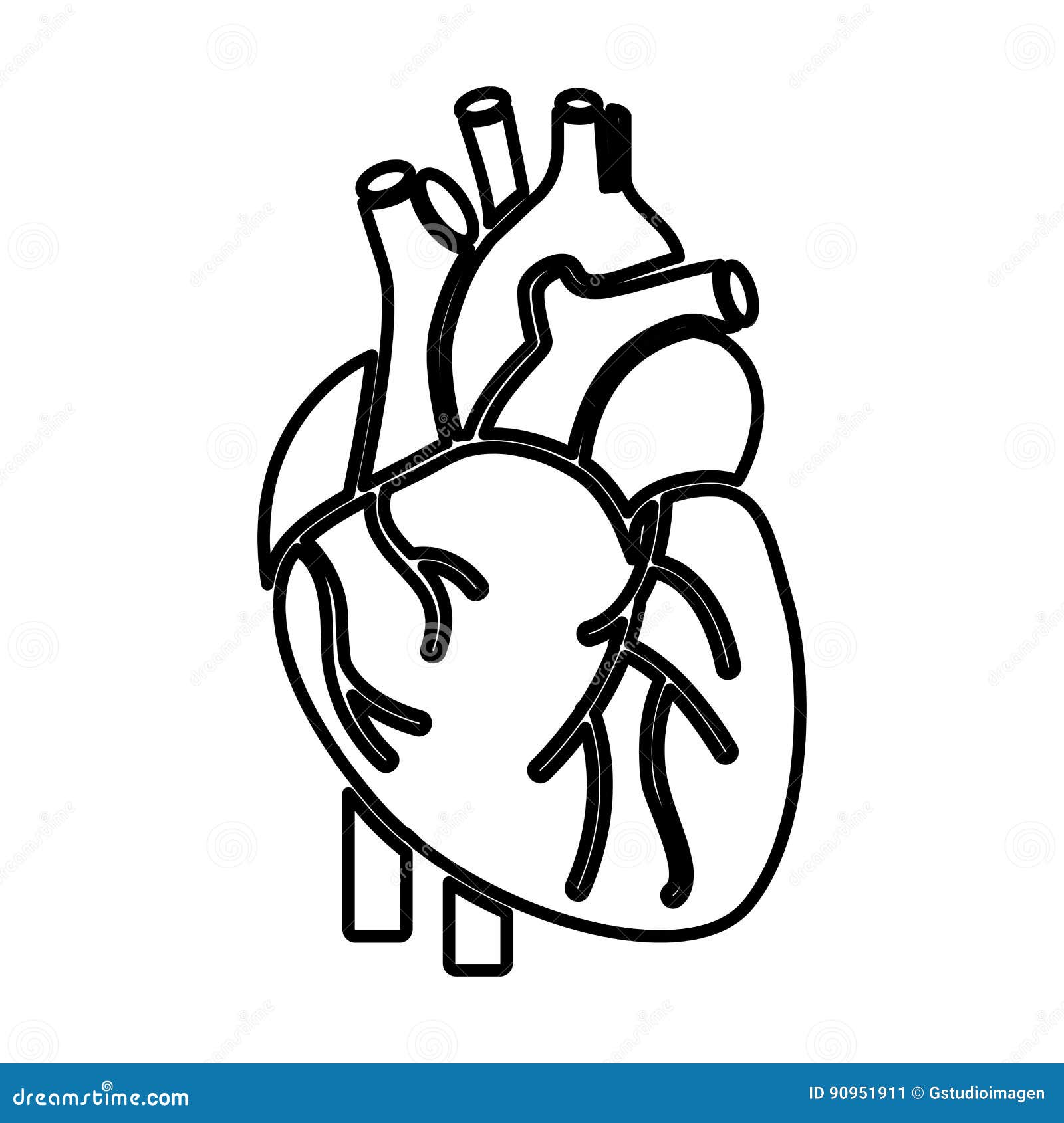 Icono Del Ser Humano Del órgano Del Corazón Ilustración Del Vector