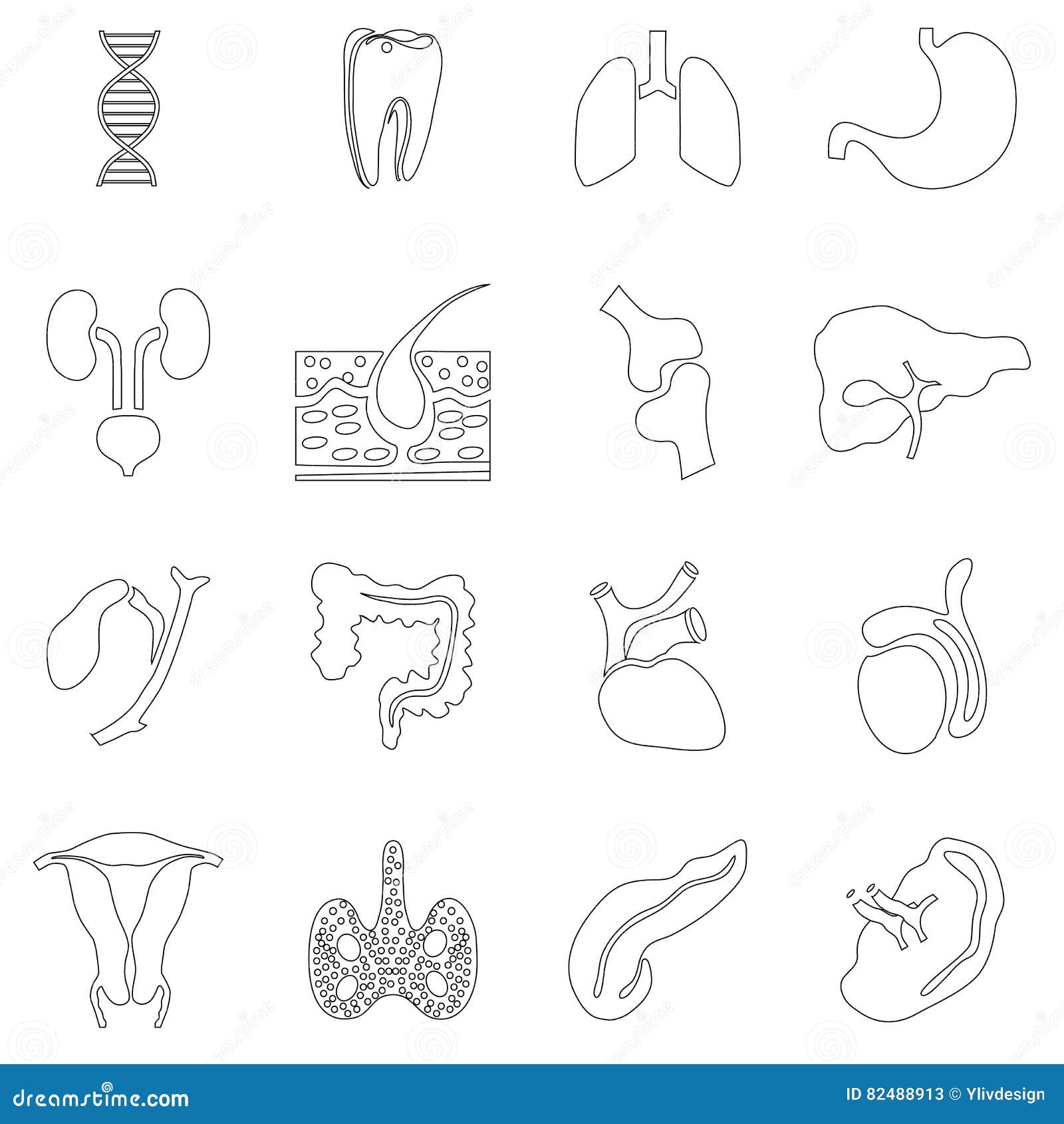 Iconos Fijados Estilo De Los órganos Internos Del Esquema Ilustración