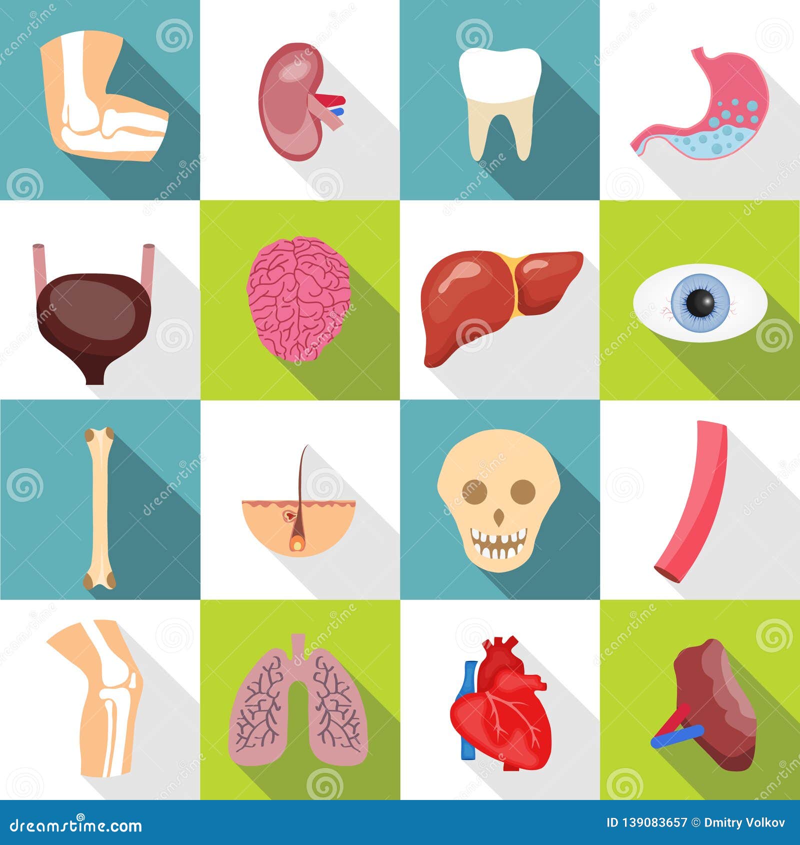 Iconos Planos Modernos Fijados Con Efecto De Sombra Largo En Colores