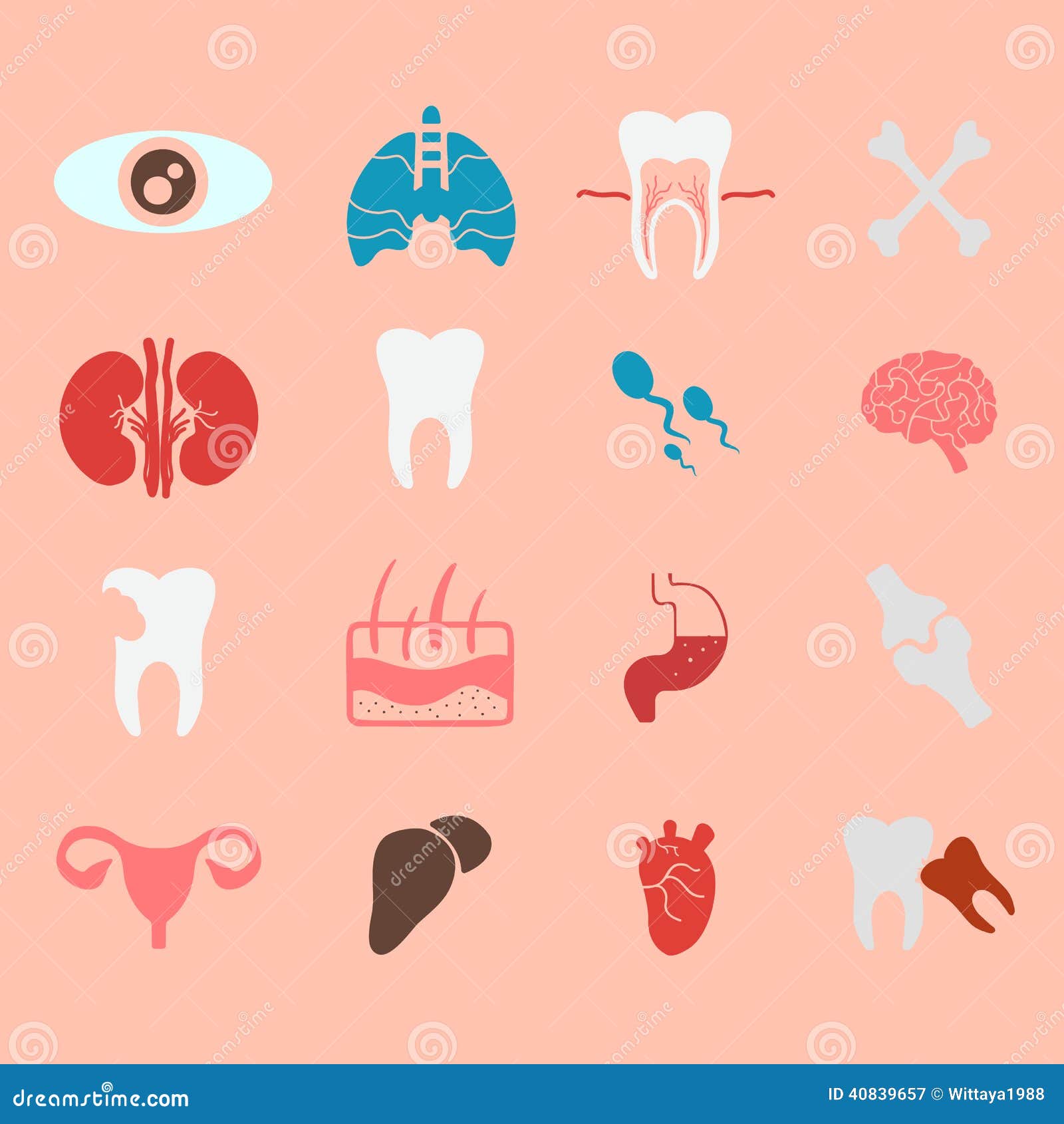 download the prolongation of life optimistic studies classics