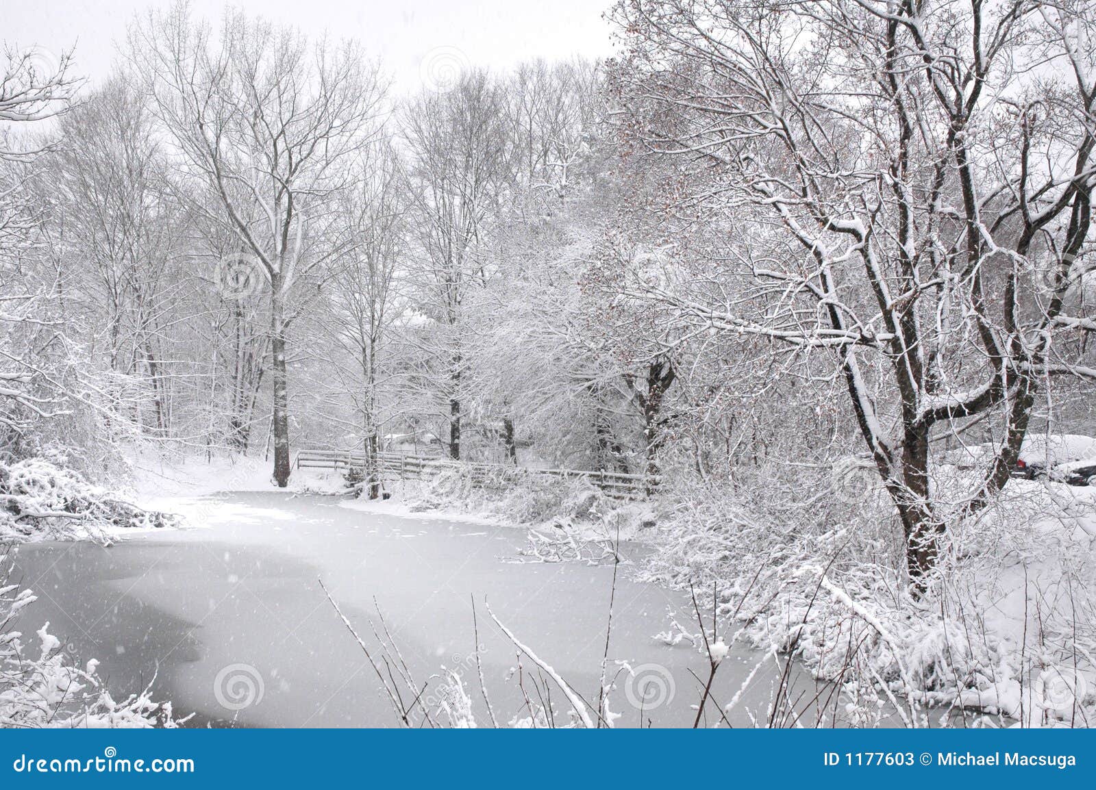 Icy Pond in New England stock image. Image of winter, england 1177603