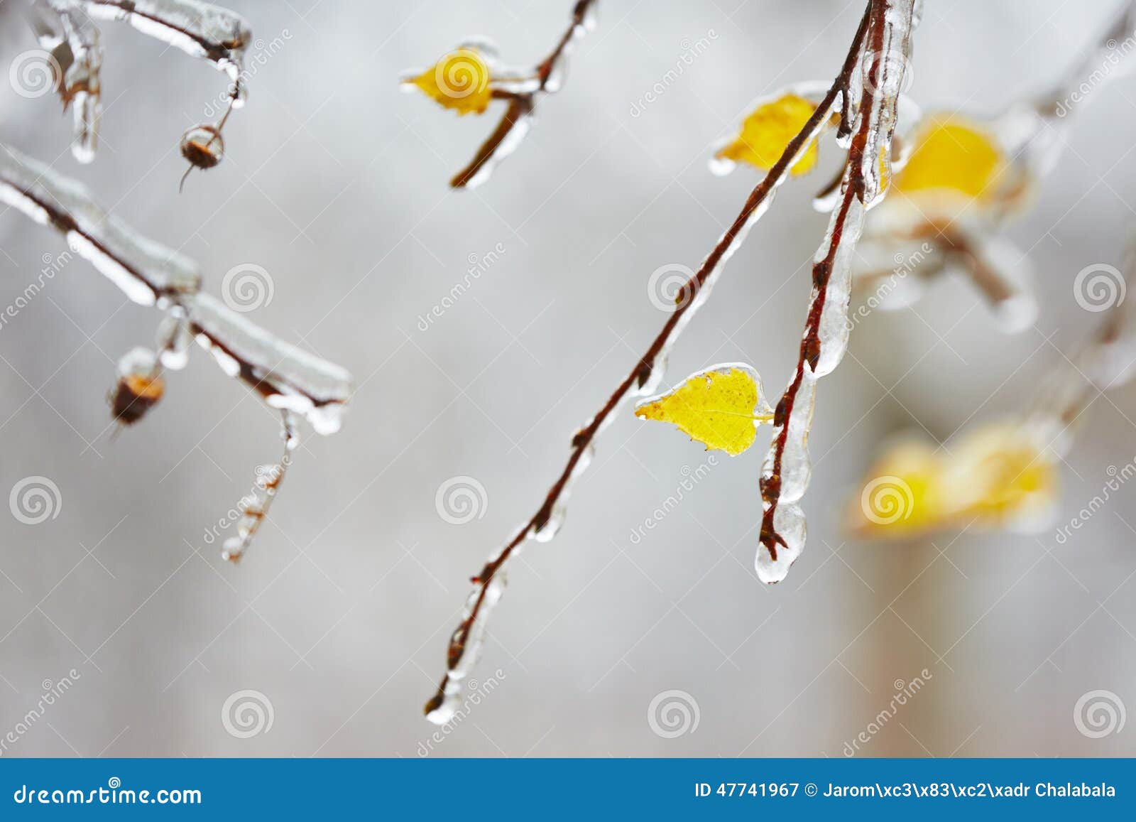 Icy rain stock image. Image of cool, covered, storm, iciness - 47741967