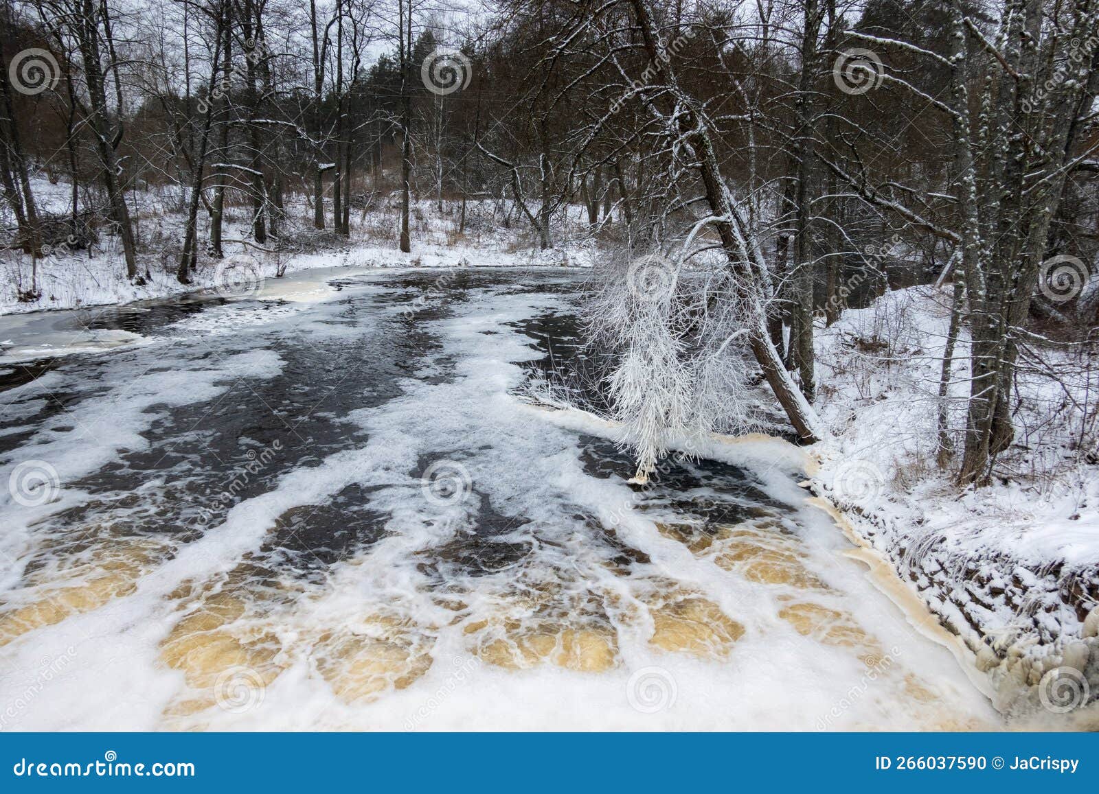 Icy Tree Branches Over Flowing Dam Water. White Foam on the Water
