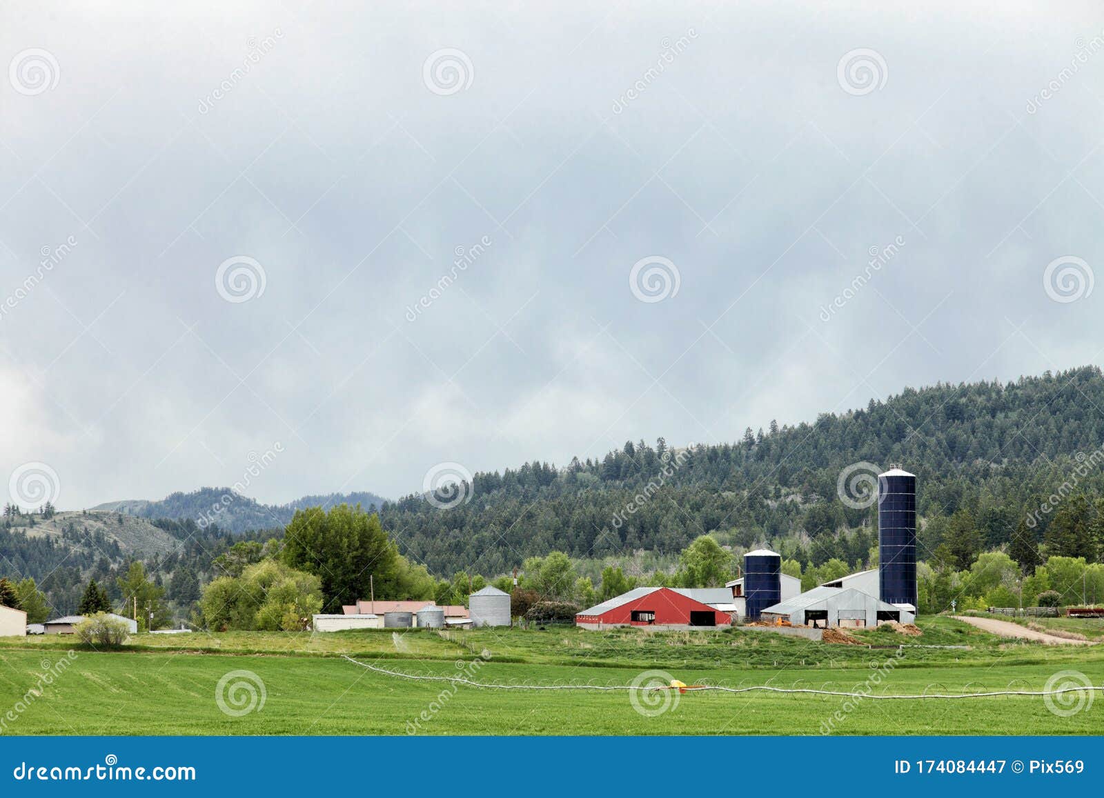 A Dairy Farm in the Idaho Farm Lands Stock Image Image of cultivate