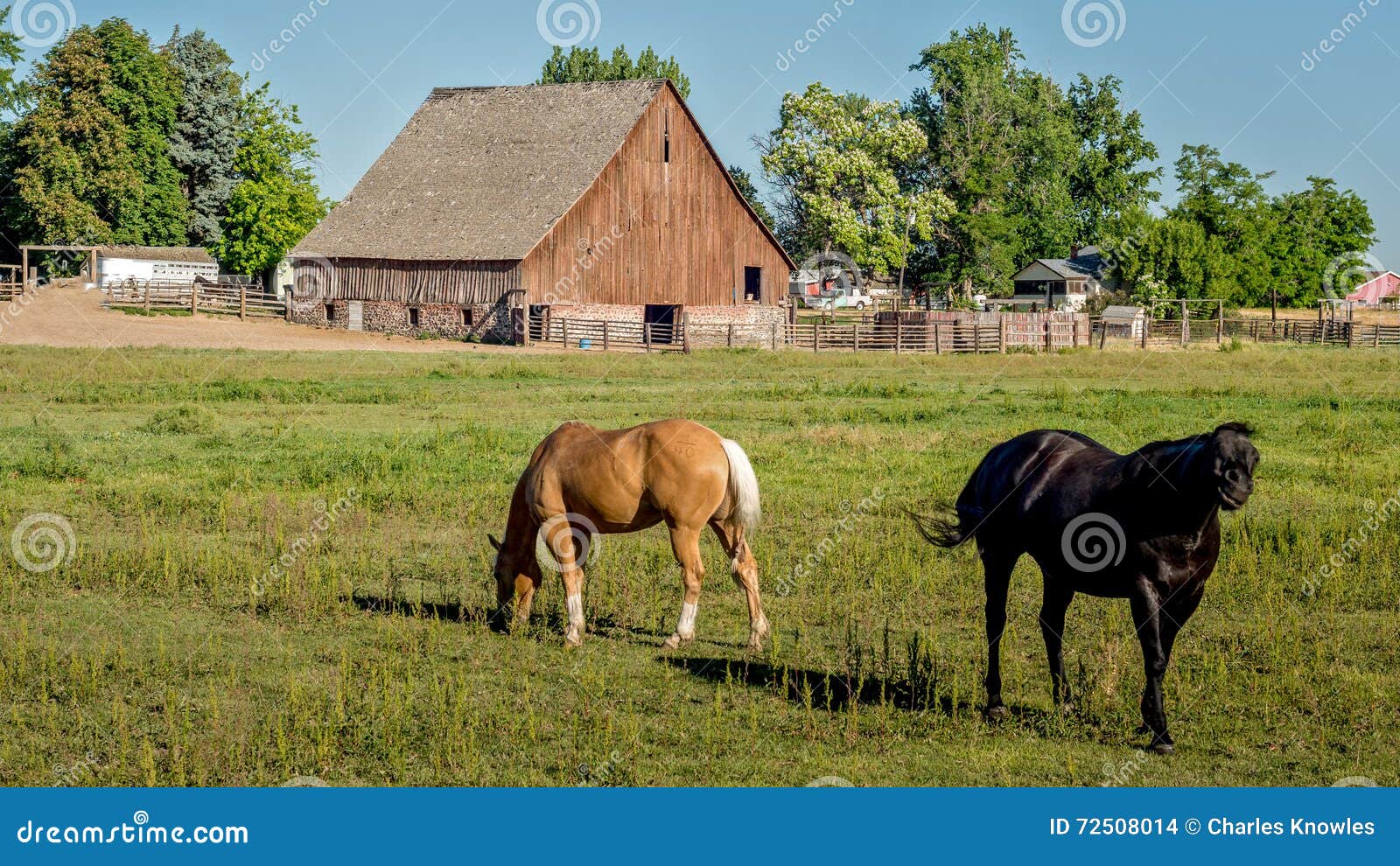 Idaho Farm with Horses and a Barn Stock Photo Image of farm, morning 72508014