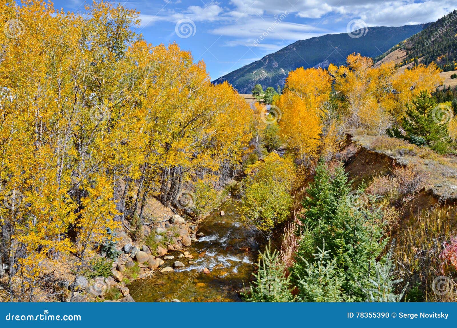 Idaho-Frühlinge, Colorado. Herrlicher goldener Herbst, Idaho entspringt, Colorado