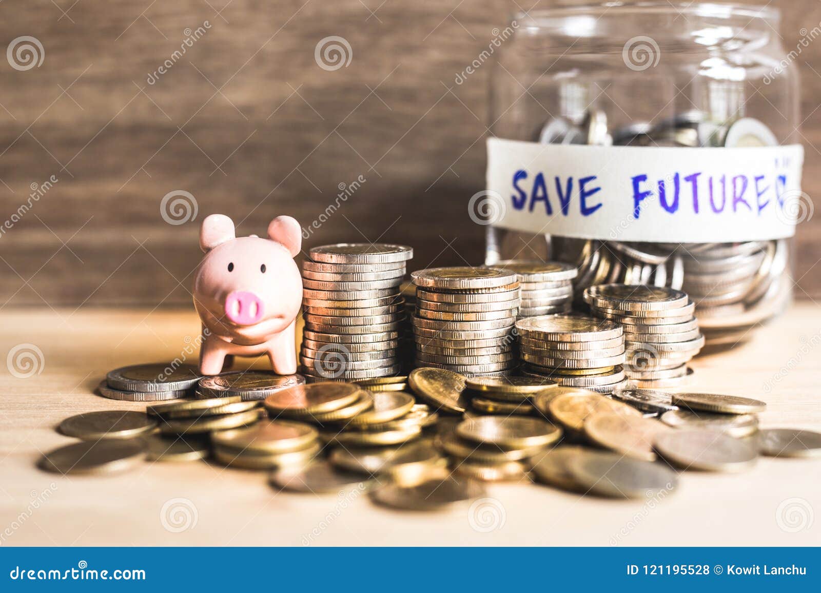 Idee Dei Soldi Di Risparmio Per Il Futuro Con Le Monete Ed Il Porcellino  Salvadanaio Fotografia Stock - Immagine di contanti, economia: 121195528