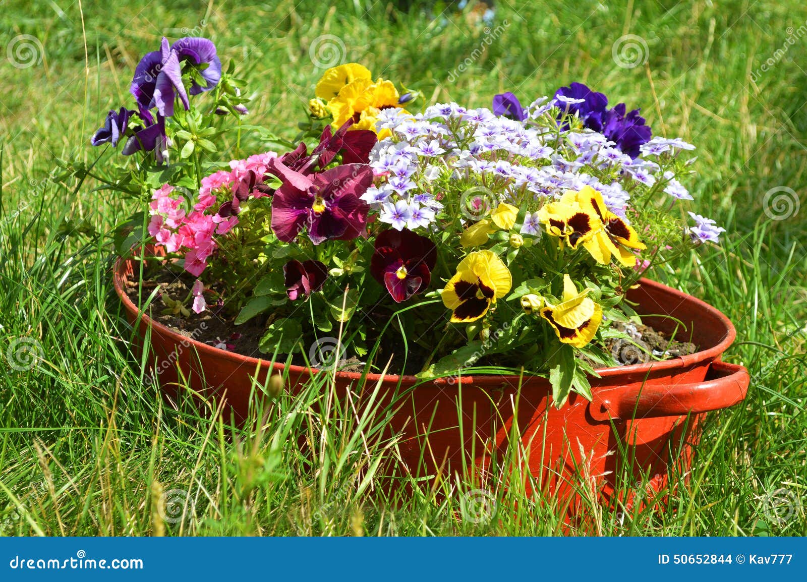 Ideeën voor tuin, bloemen in oude wasbak stock foto afbeelding ...