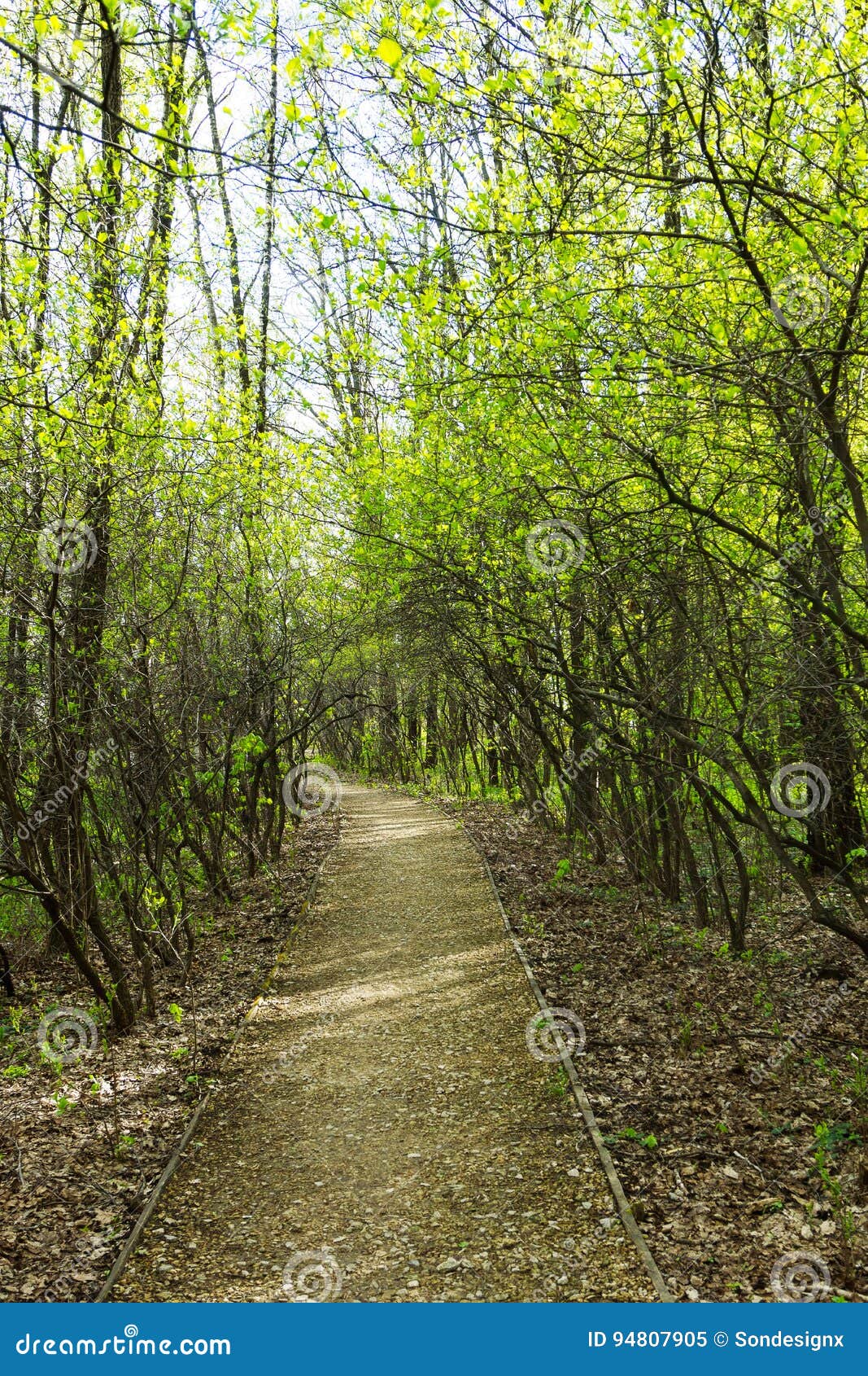 Featured image of post Paisagem Natureza Caminho - Etimologicamente natureza é uma palavra de origem latina que deriva de natura, referindo a uma dedicação inata, qualidade que já nasce com.