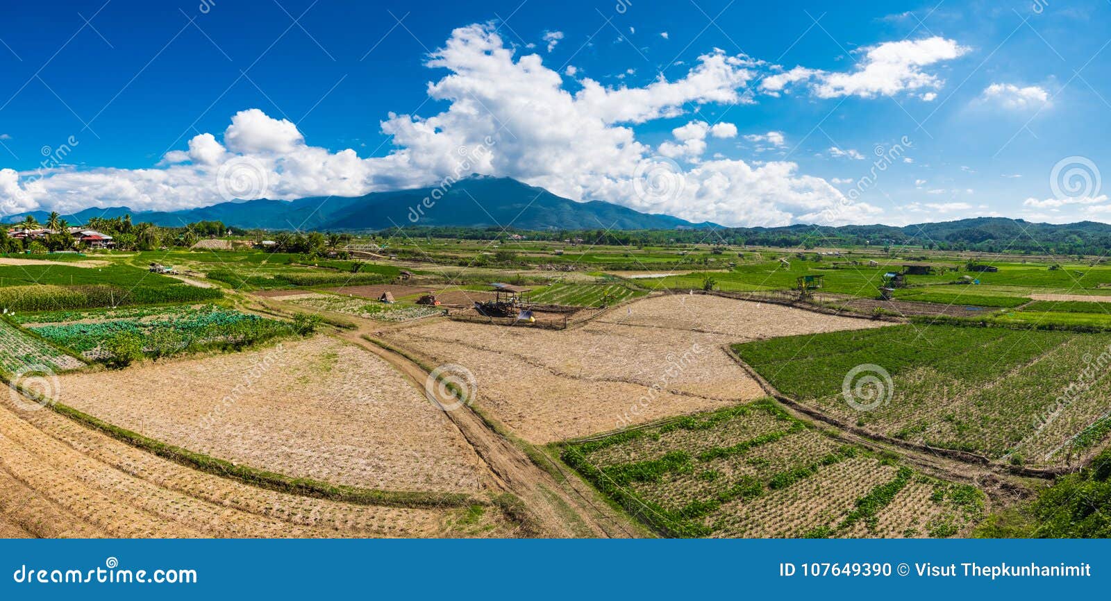 Ideia do panorama do campo do arroz no norte de Tailândia com montanha grande e fundo nebuloso do céu azul, foco seletivo