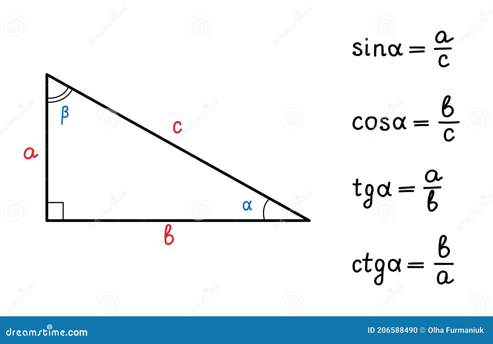 Identidades trigonométricas básicas fórmulas para calcular el programa de la escuela de cotangenttriangleeducación de sinus cosine tangent. ilustración de vector de texto matemático escrito superior