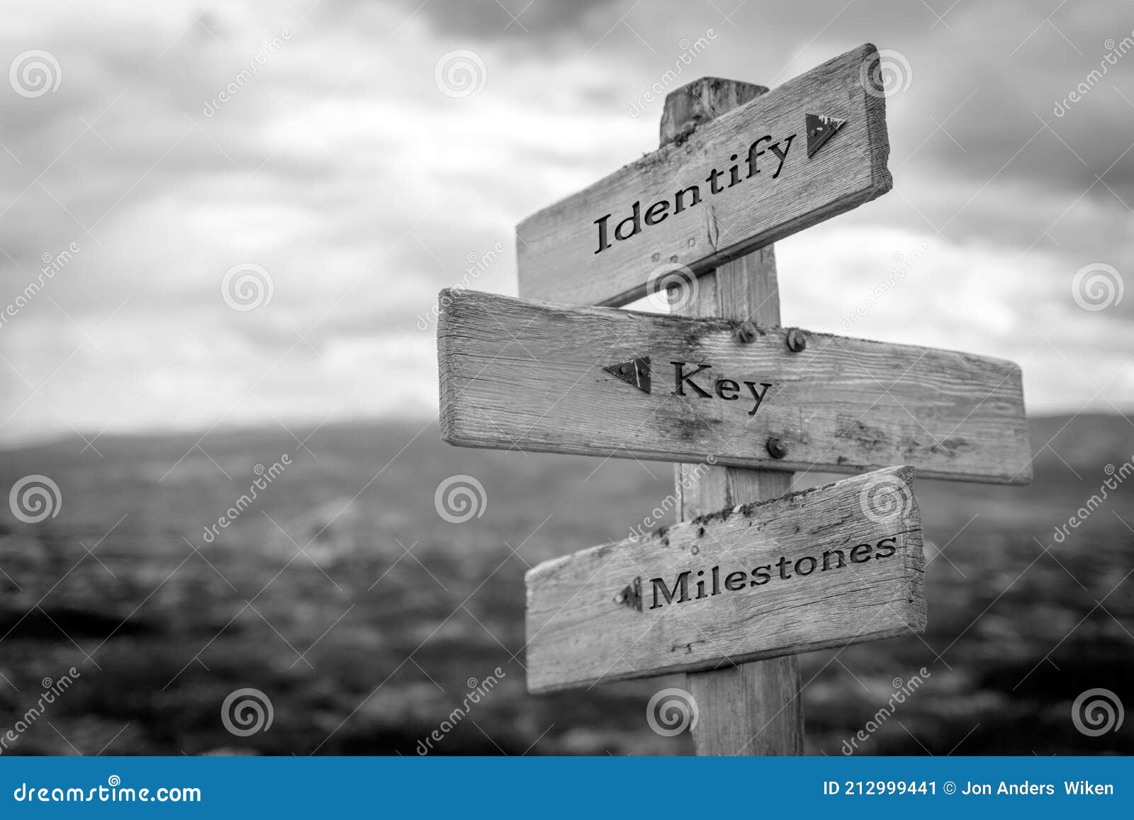 identify key milestones text quote on wooden signpost