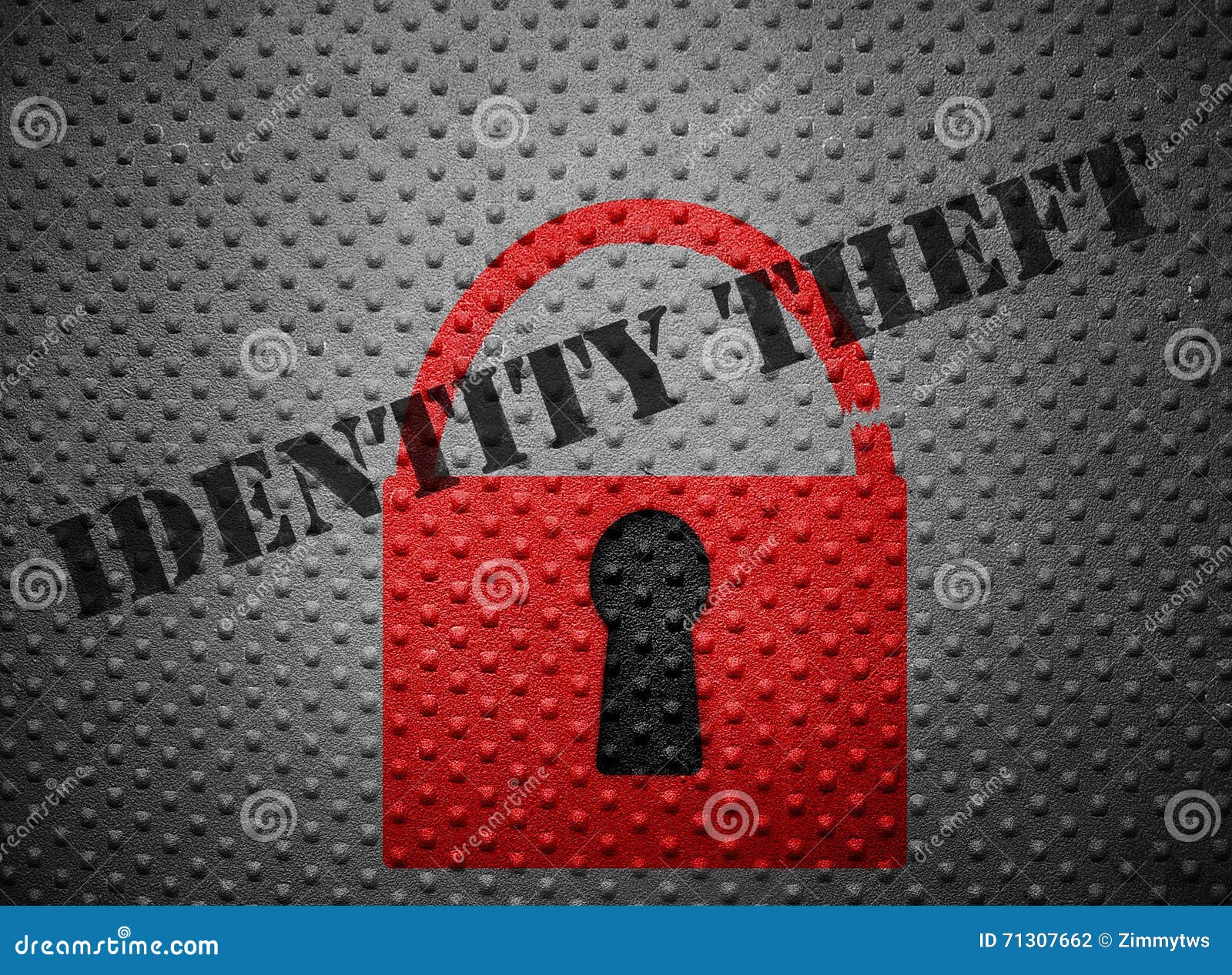 identity theft lock