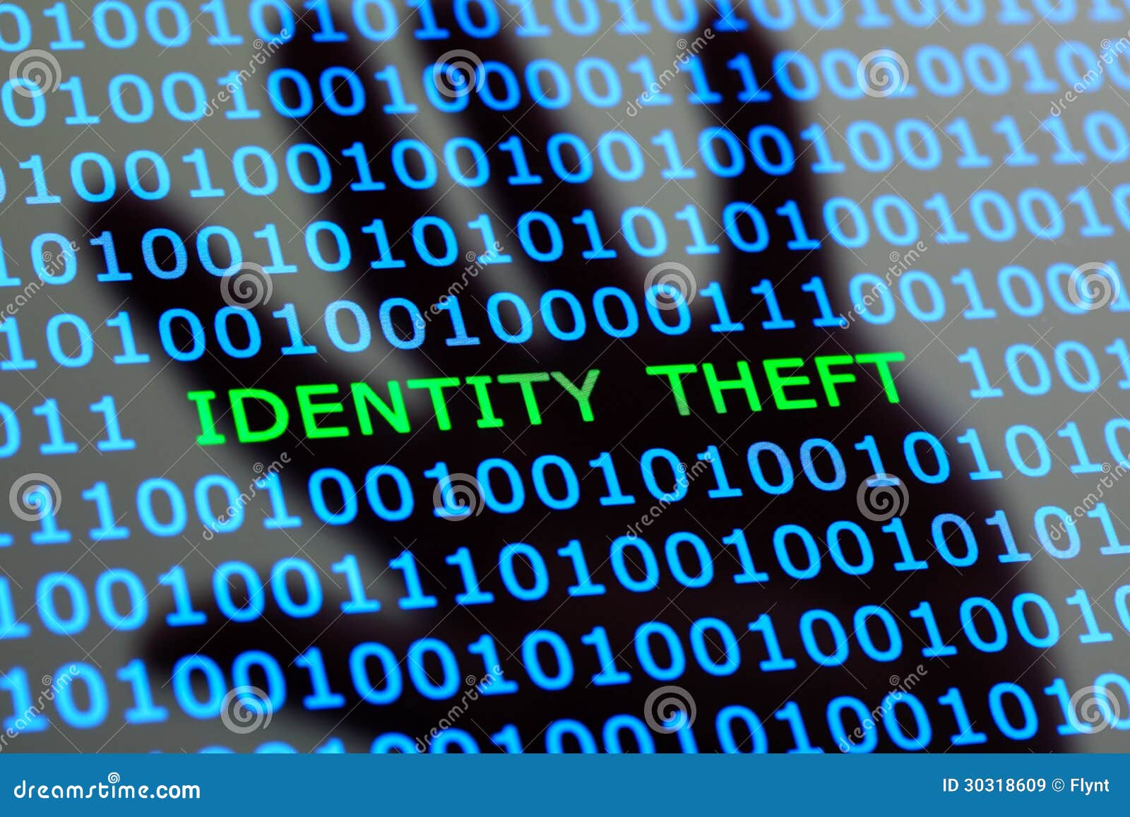 identity theft online